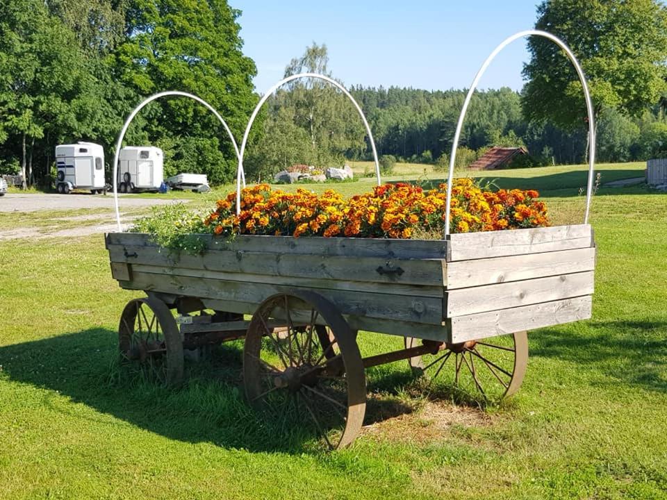 Rialahästgård
