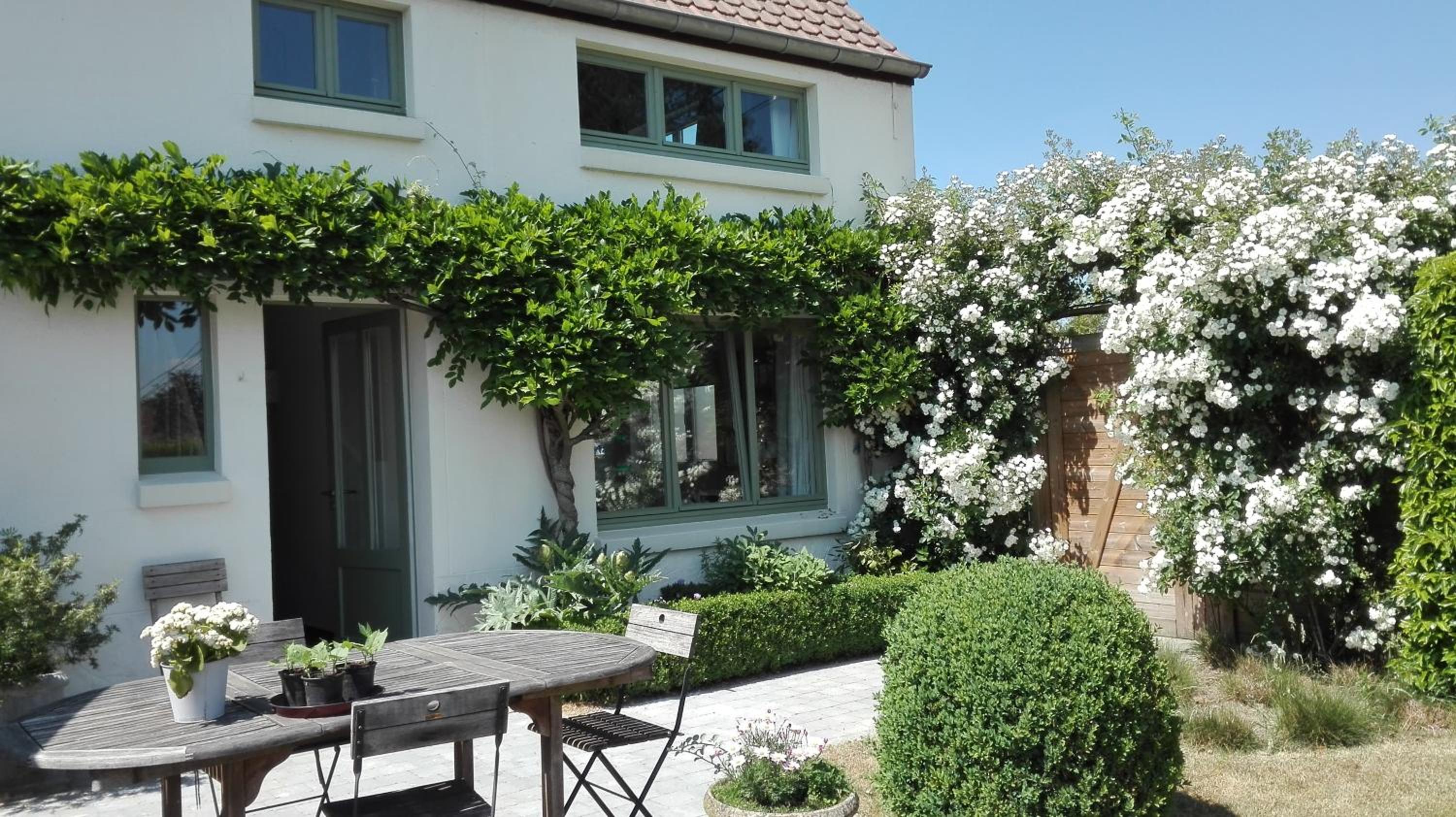 little cottage