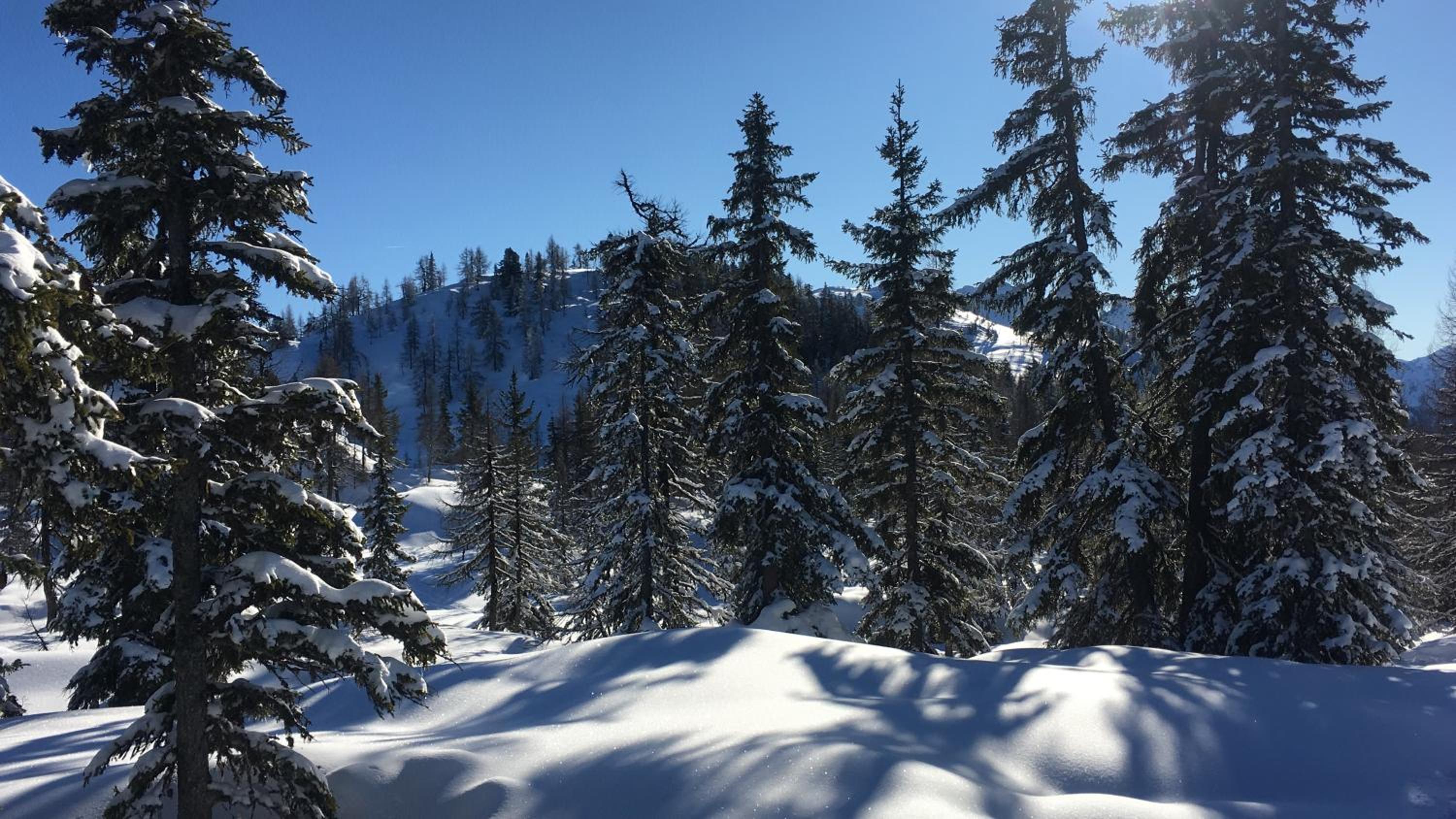 Gut Schablberg
