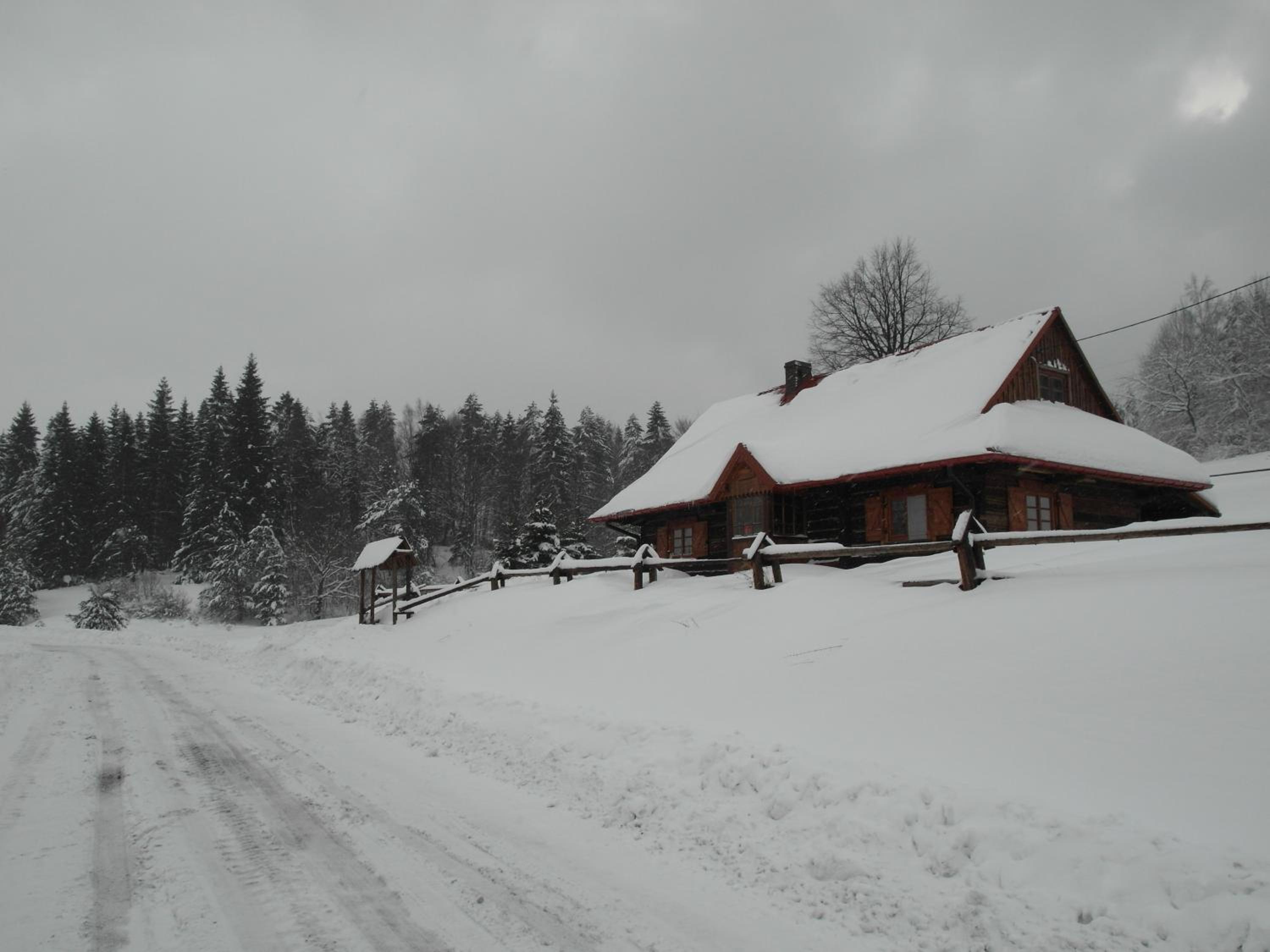 Photo 7