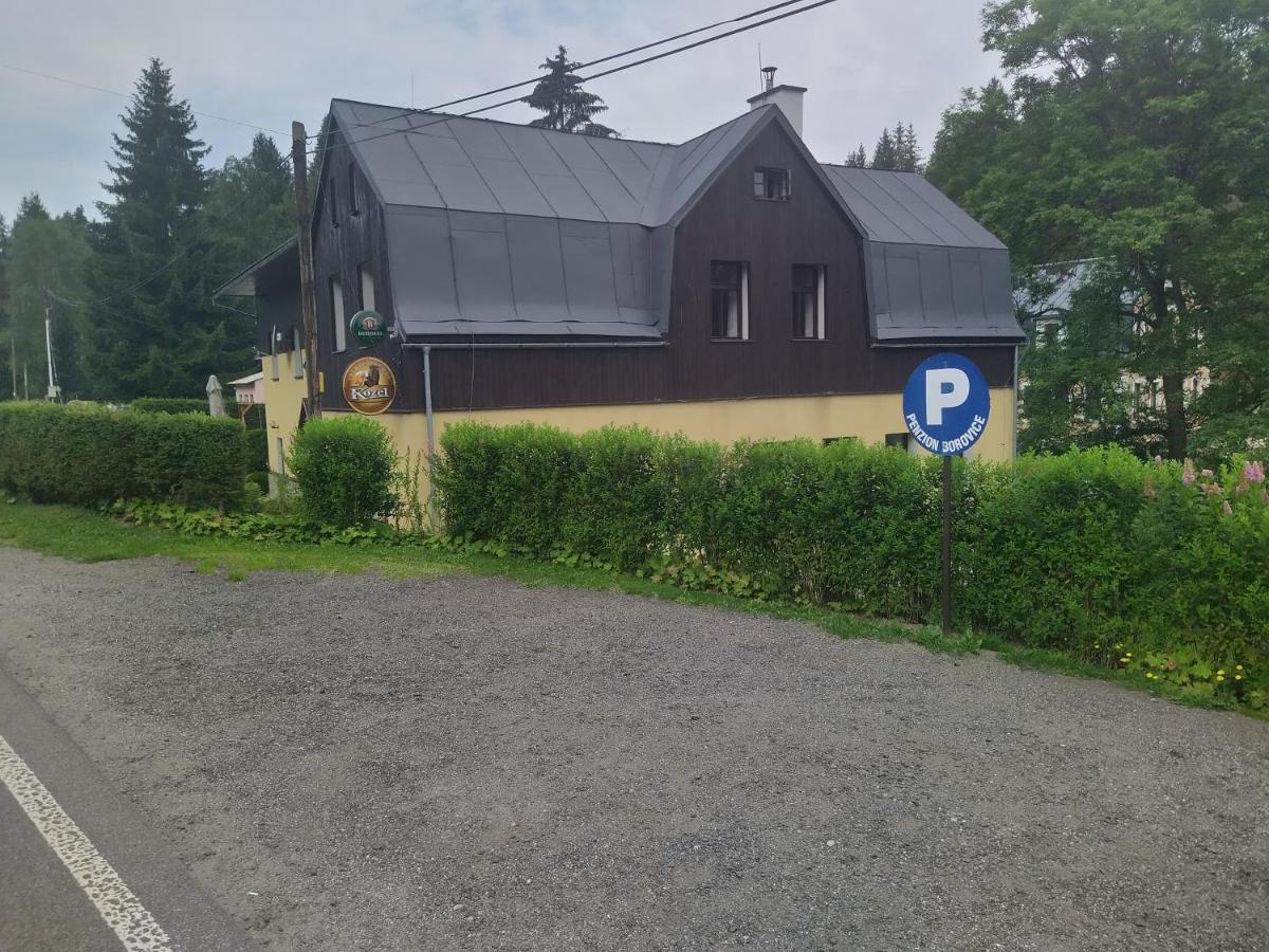 Penzion Borovice