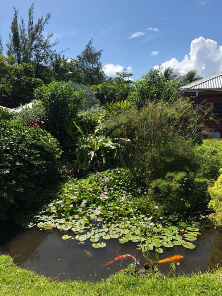 Shambala Lodge