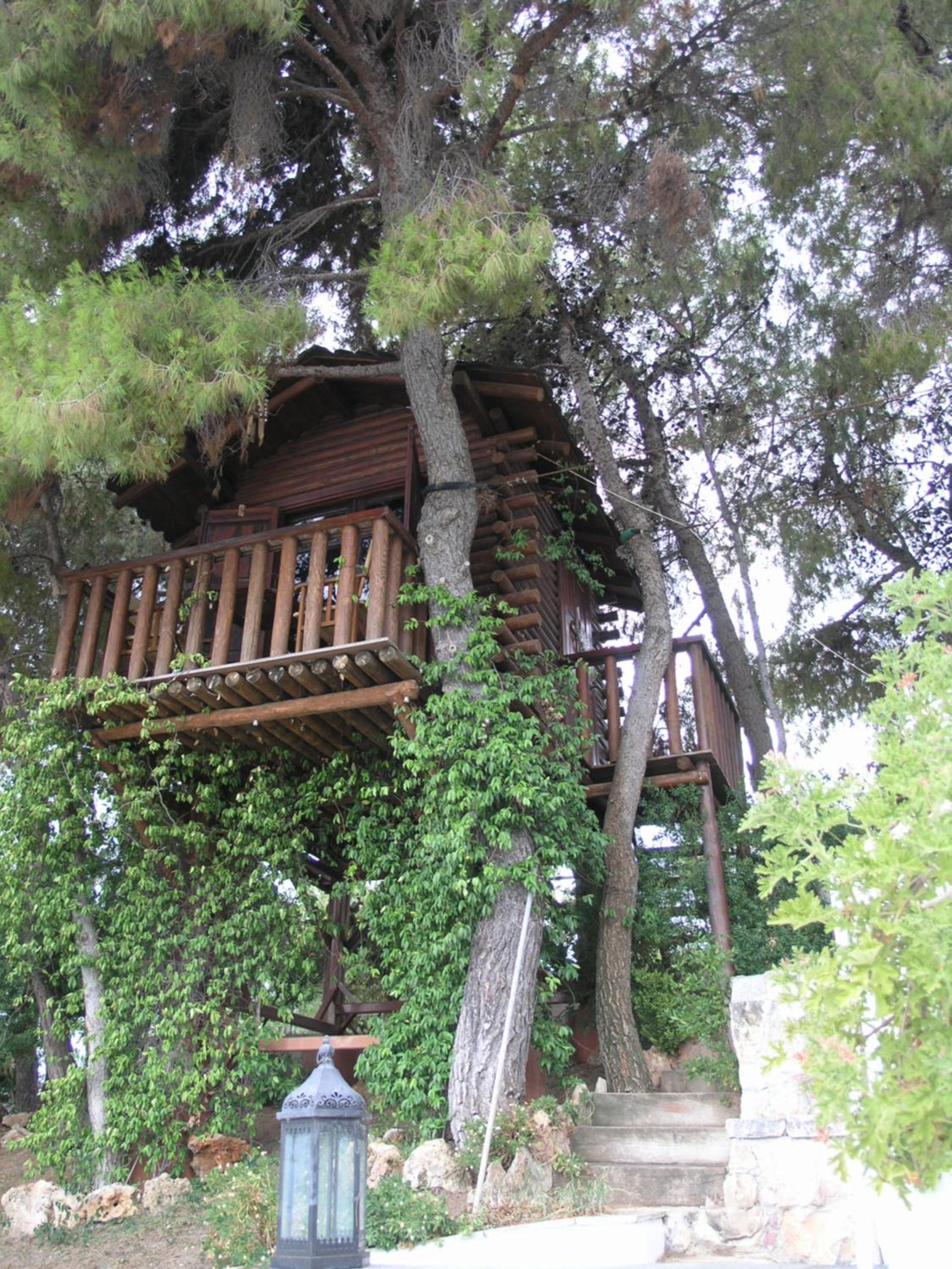 The House of Gratitude - Poolside Retreat photo 5