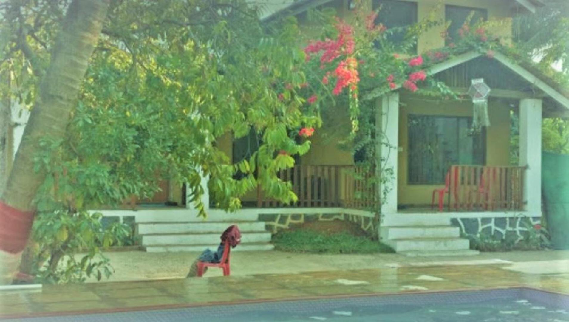 Photo 10
