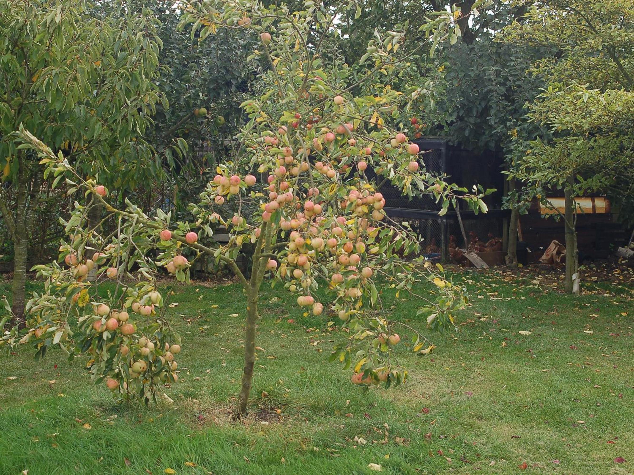Photo 13