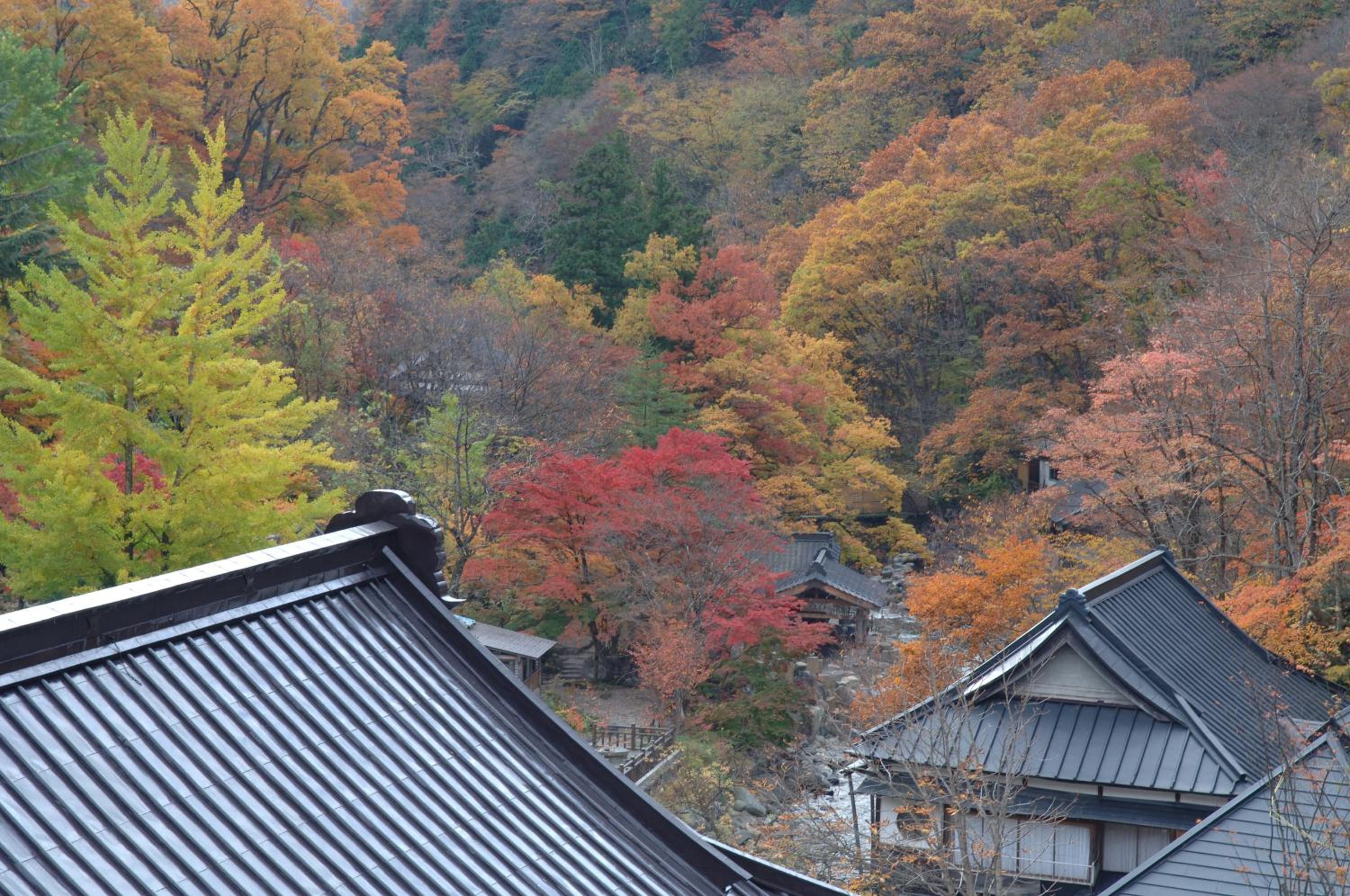 Takaragawa Onsen Osenkaku 18
