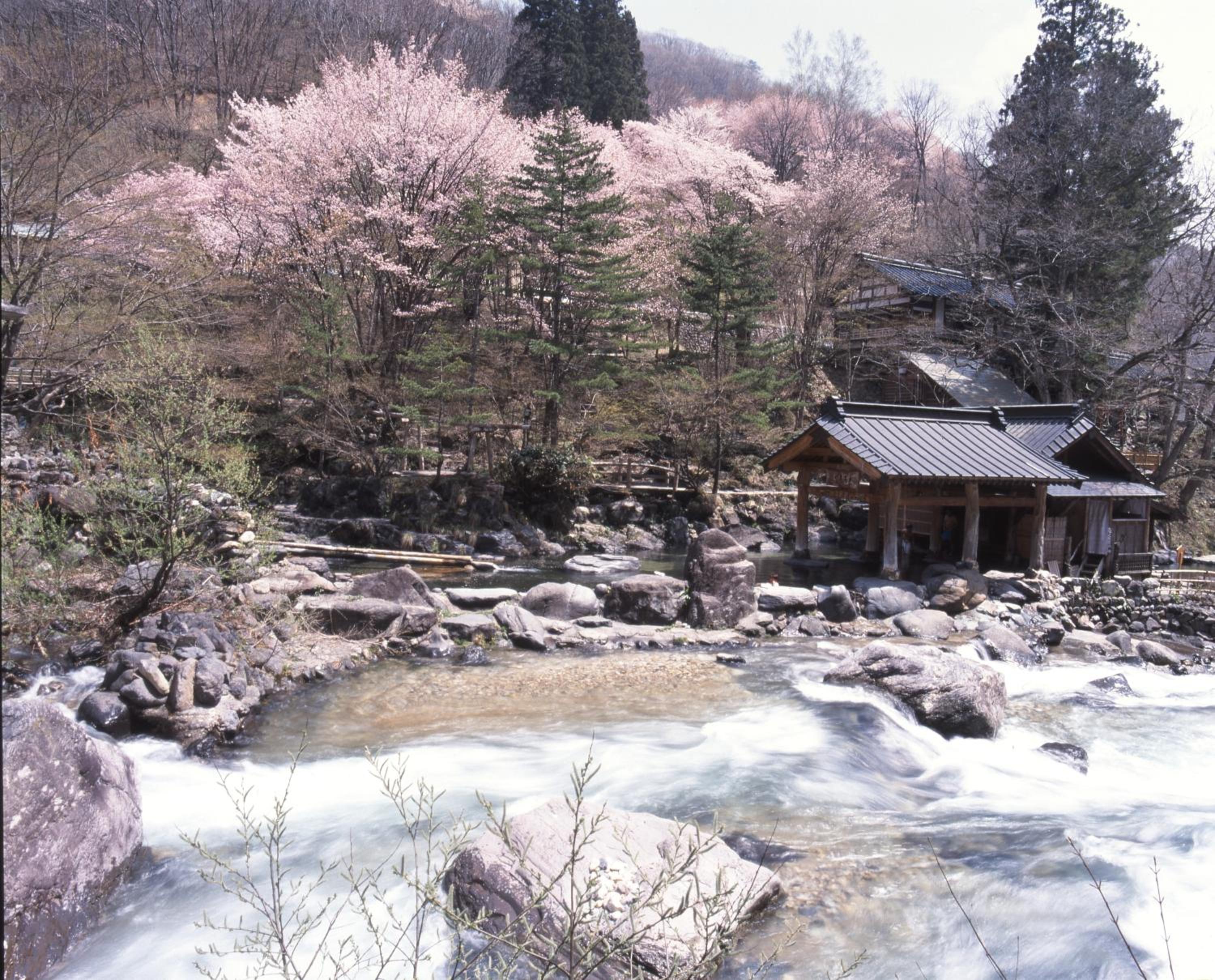 Takaragawa Onsen Osenkaku 22