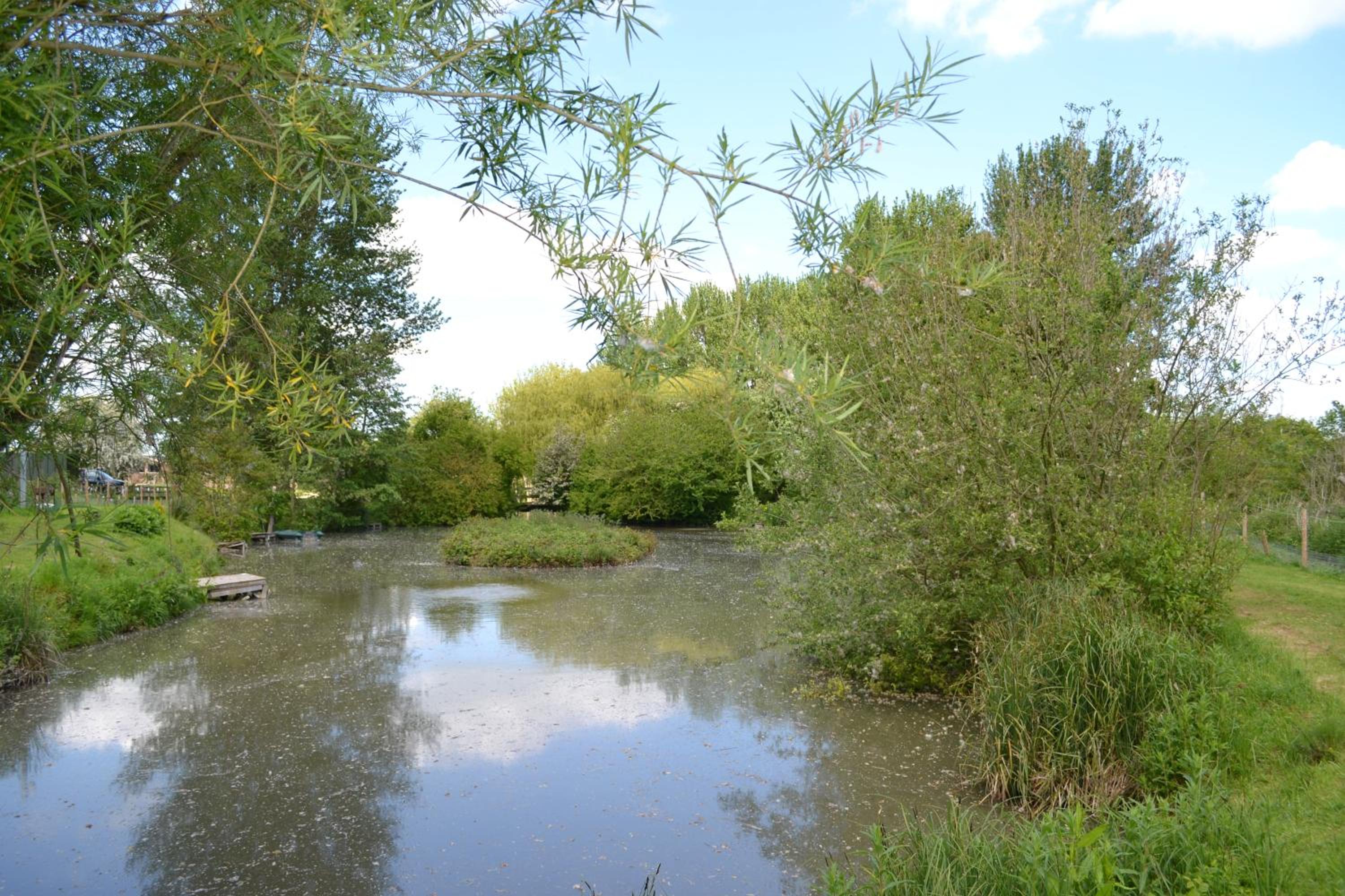 Photo 11