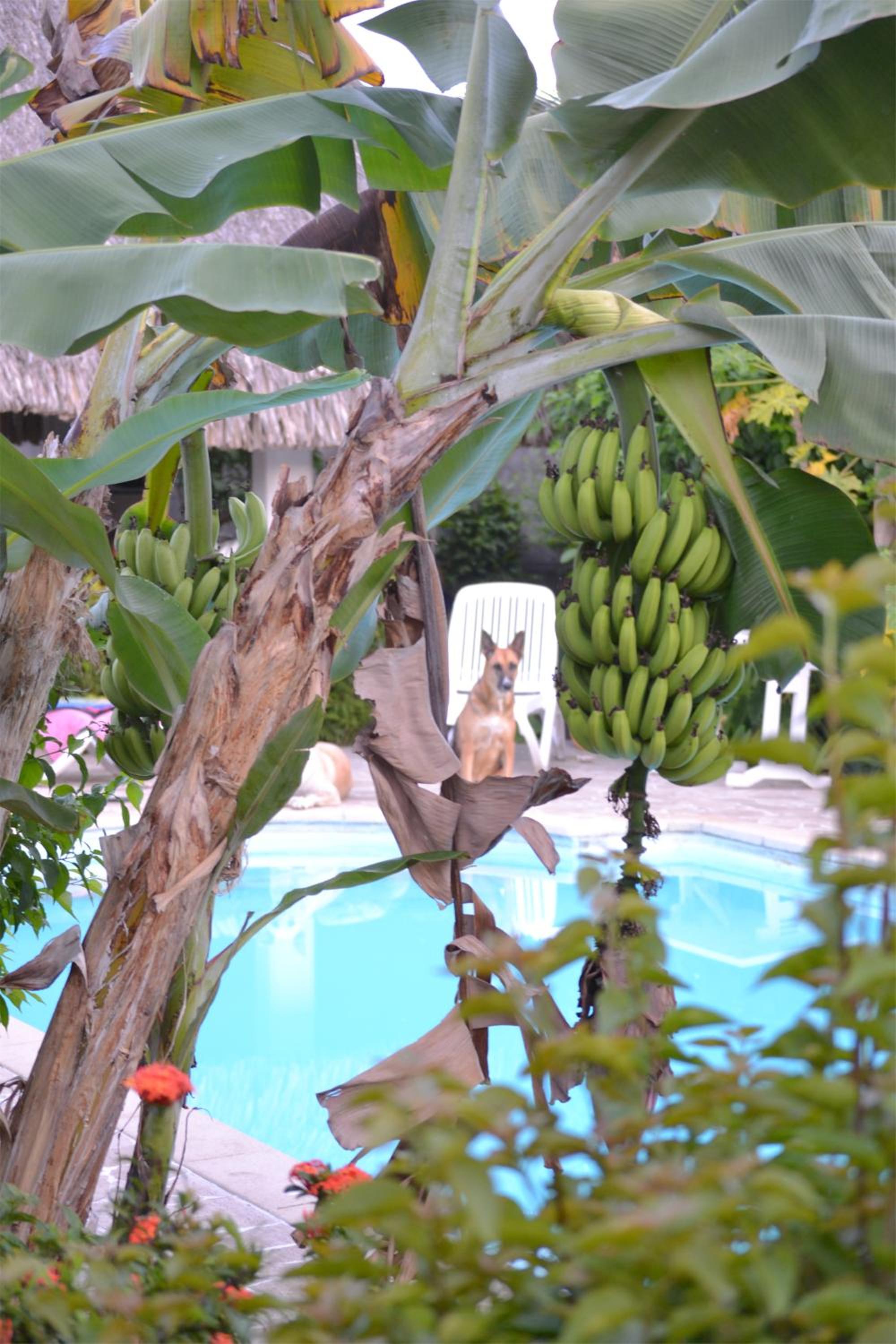 Pension De La Plage