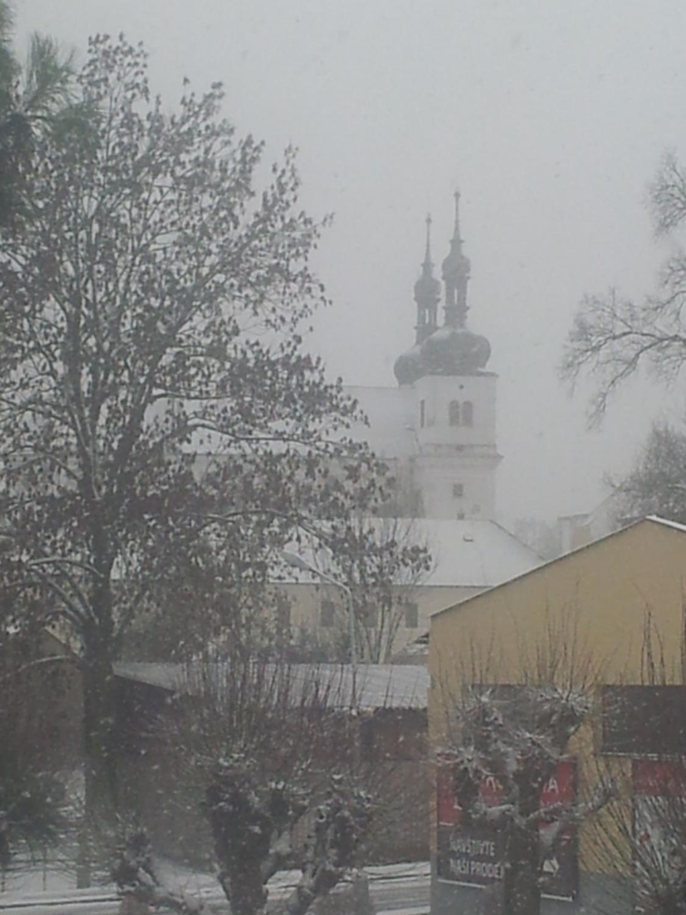 Photo 43