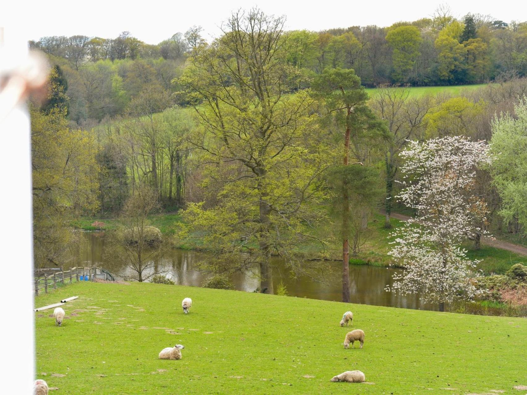 Twyford Farm B&B