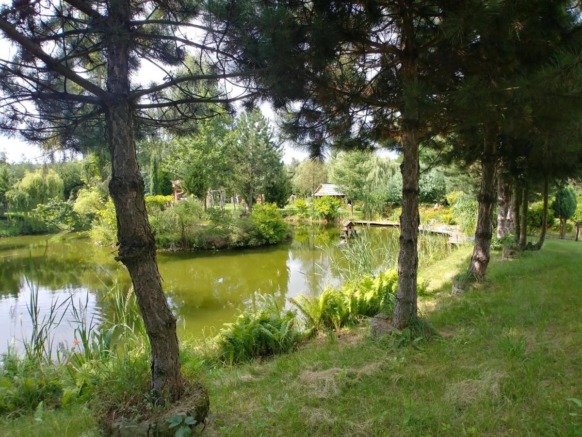 Photo 29