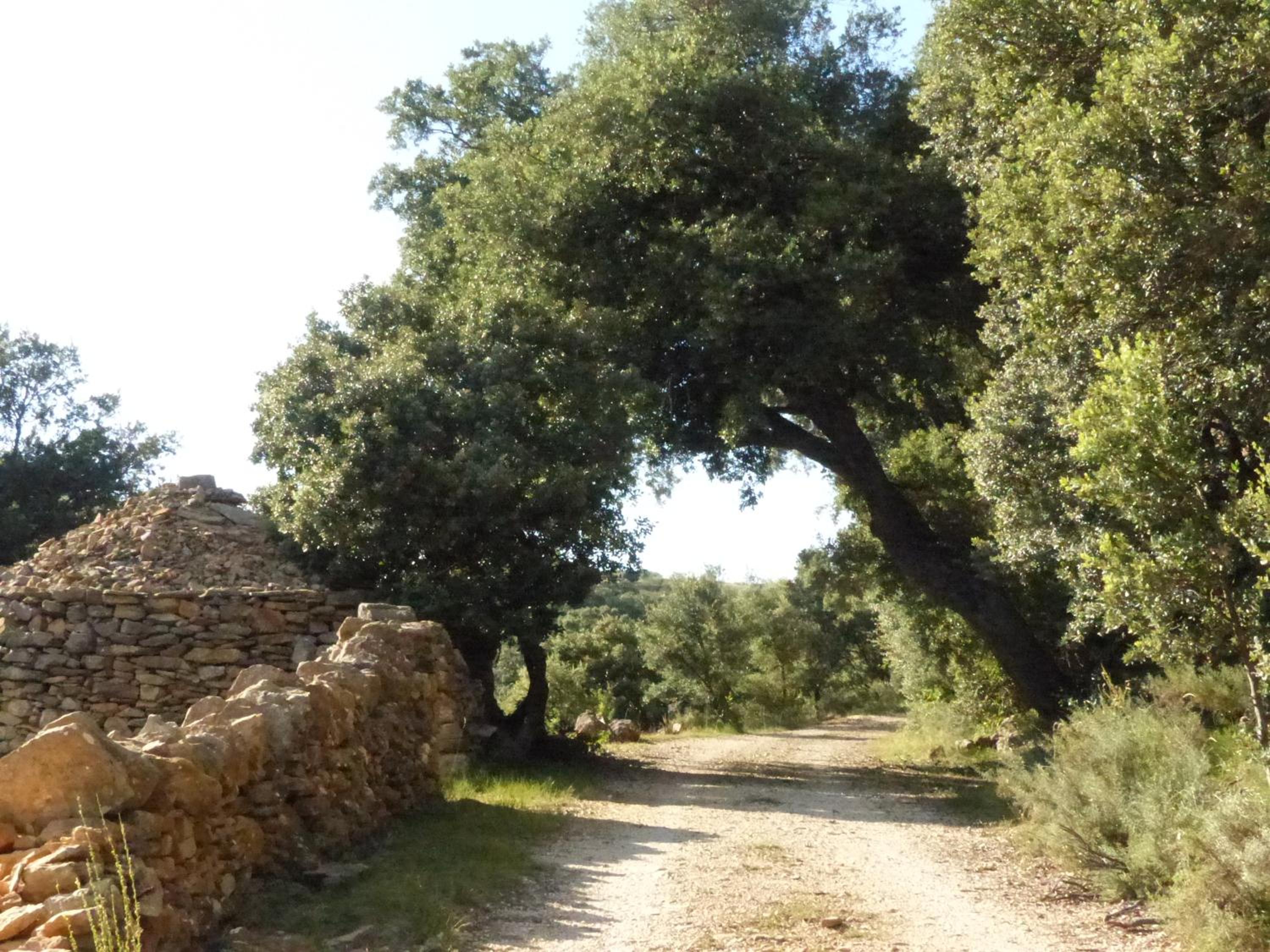 Photo 61