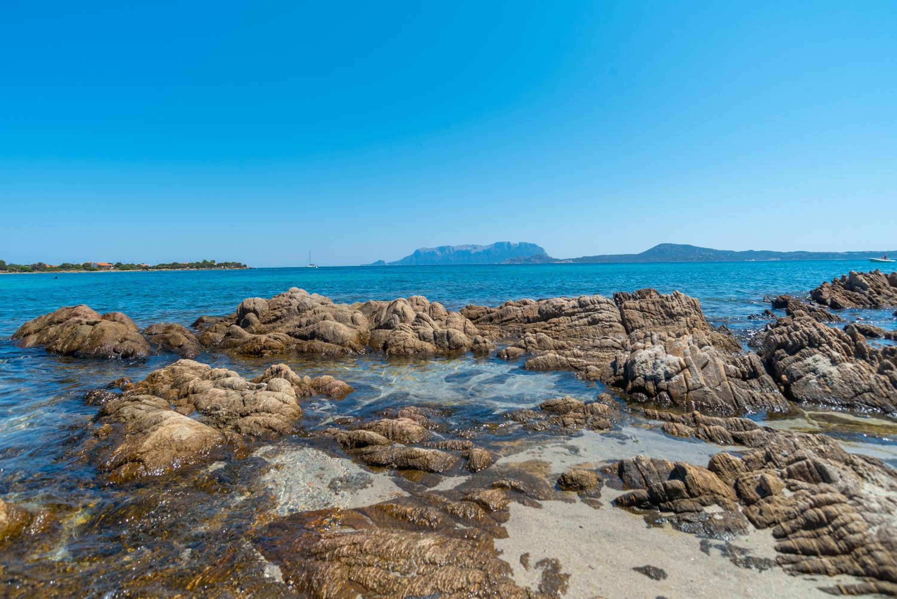 Appartamento del Pellicano photo 4
