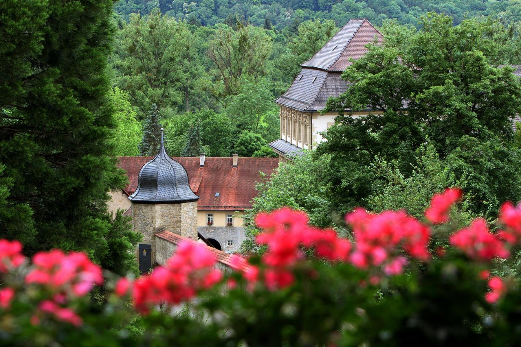 Kloster Schontal - Property Image 15