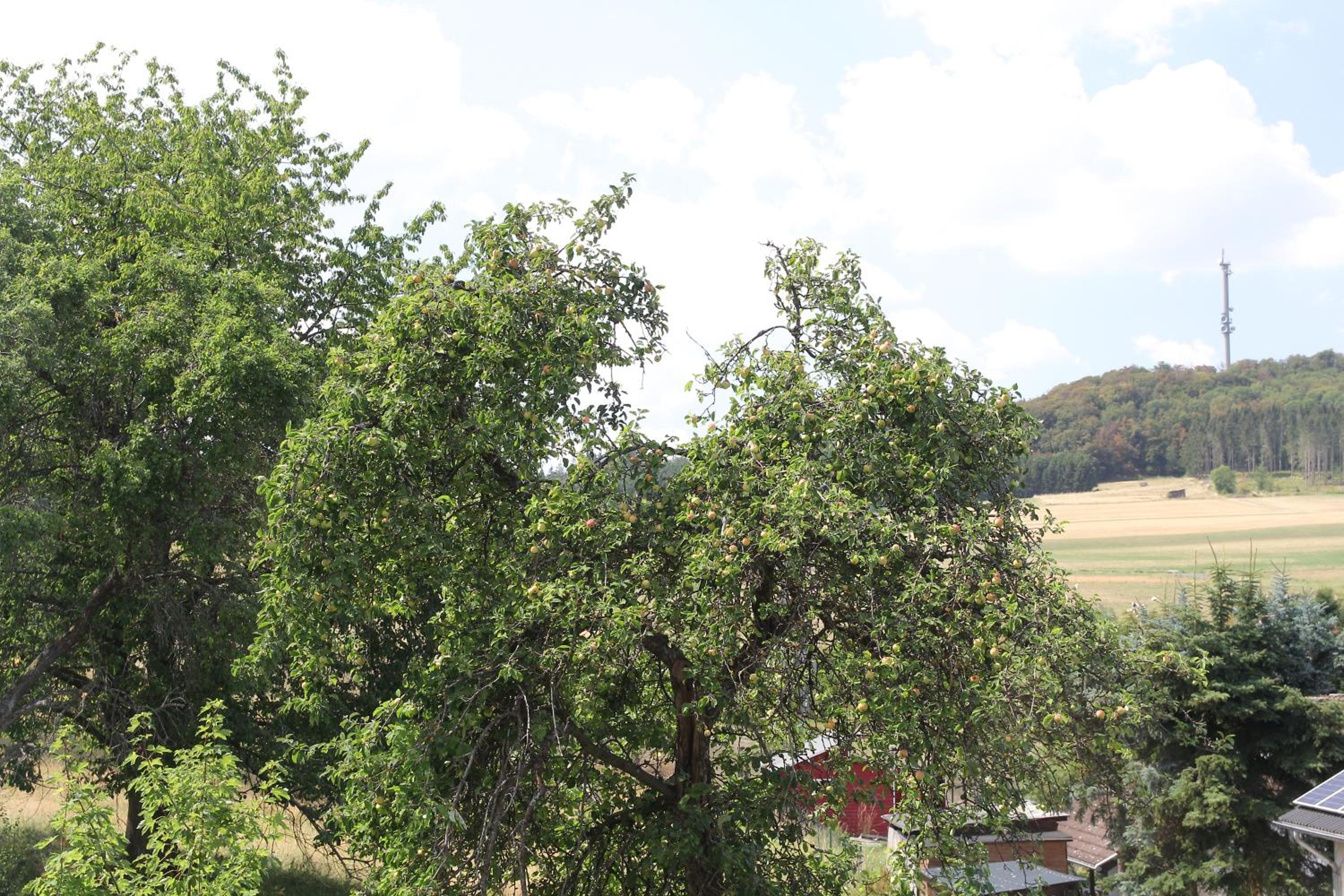 Bike and Hike Ferienhaus Kolverath
