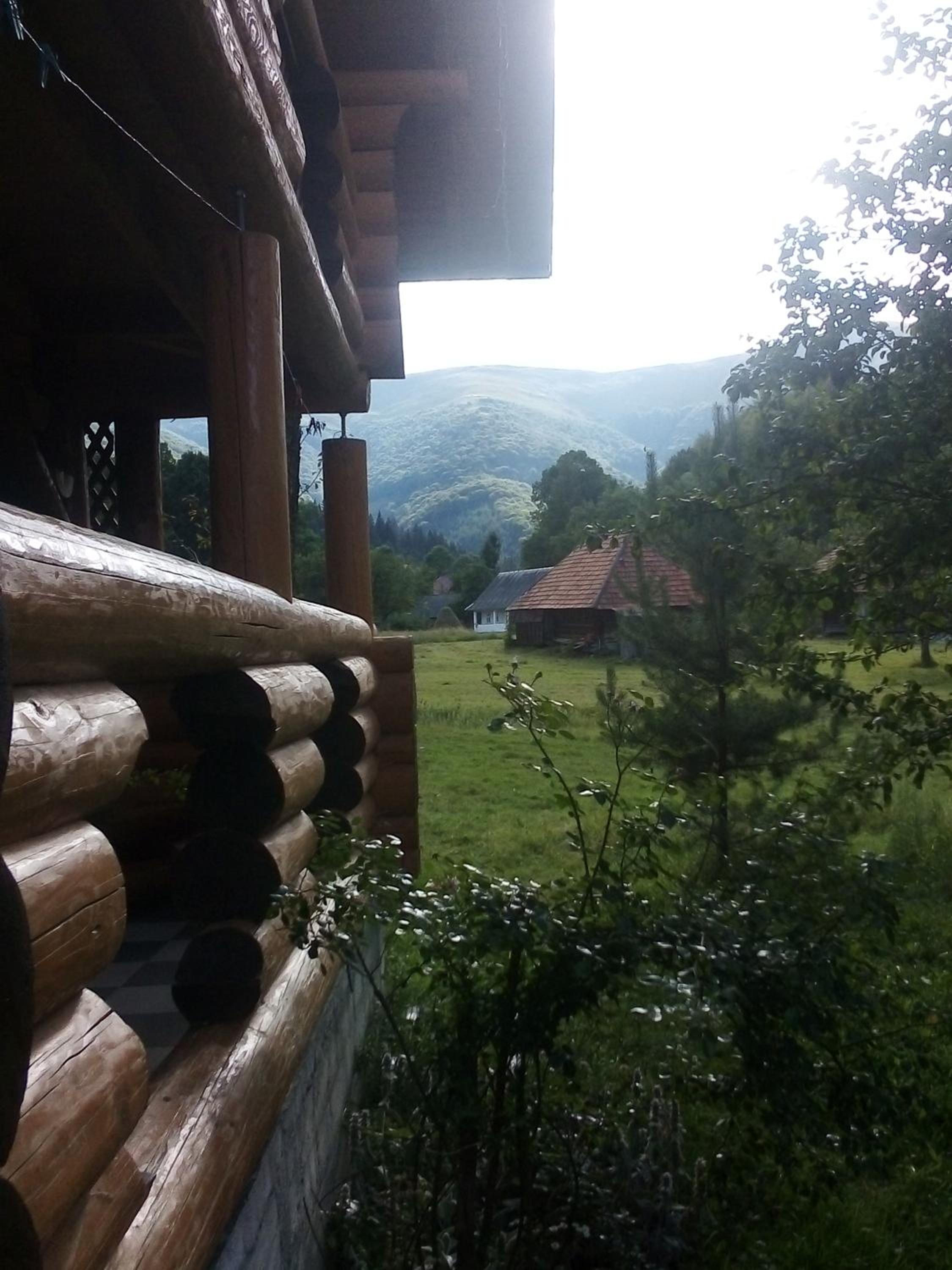 Photo 43
