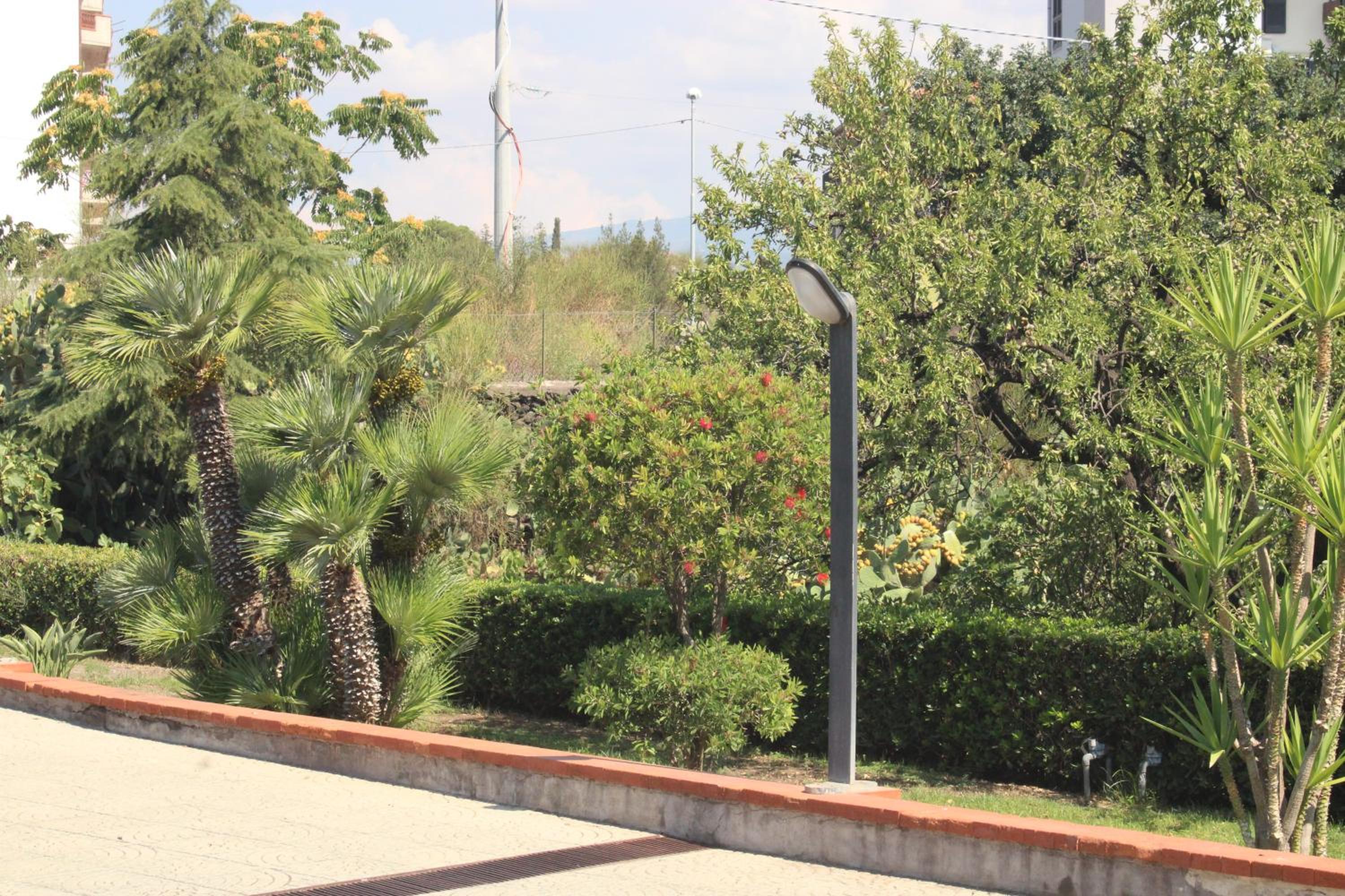Villa Sicilia Apartment view 5