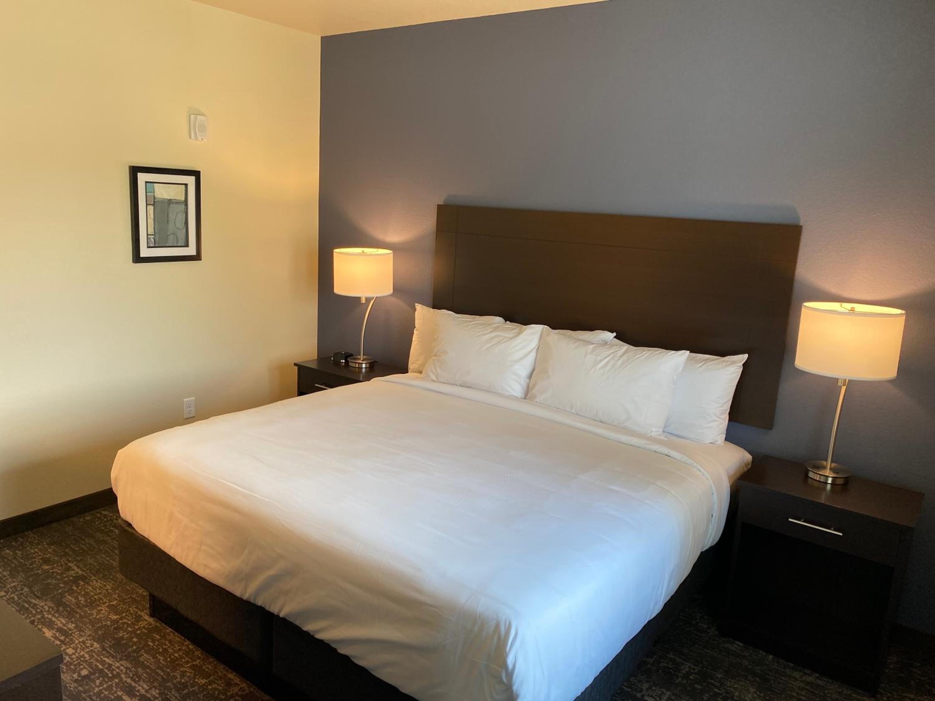 Cobblestone Inn & Suites - Forest City, 写真 74
