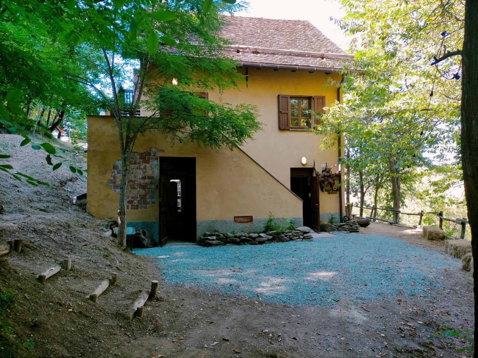 Photo 8