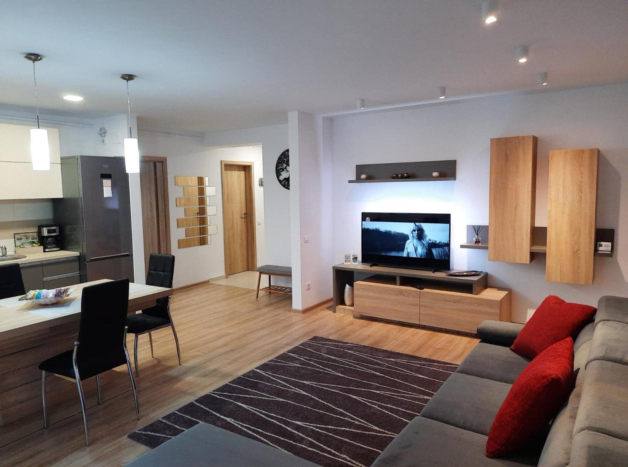 Sorin`s Comfortable Apartment