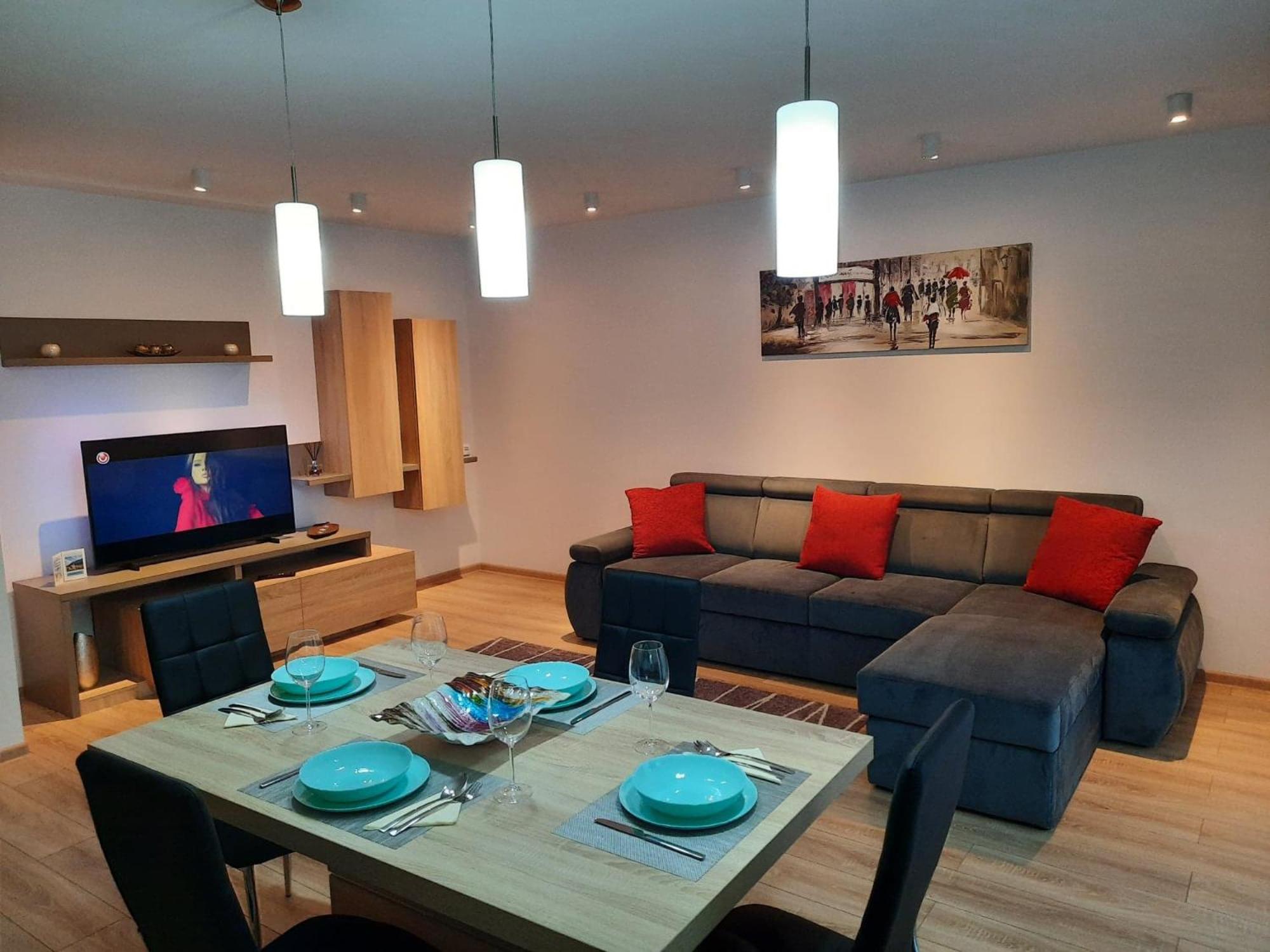 Sorin`s Comfortable Apartment