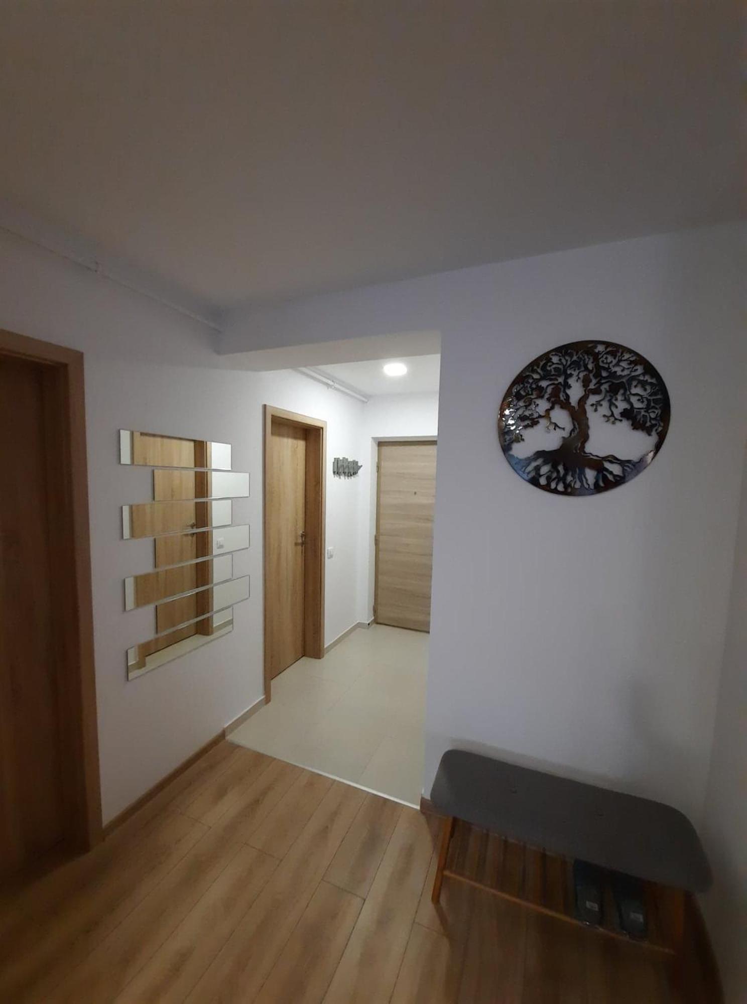 Sorin`s Comfortable Apartment