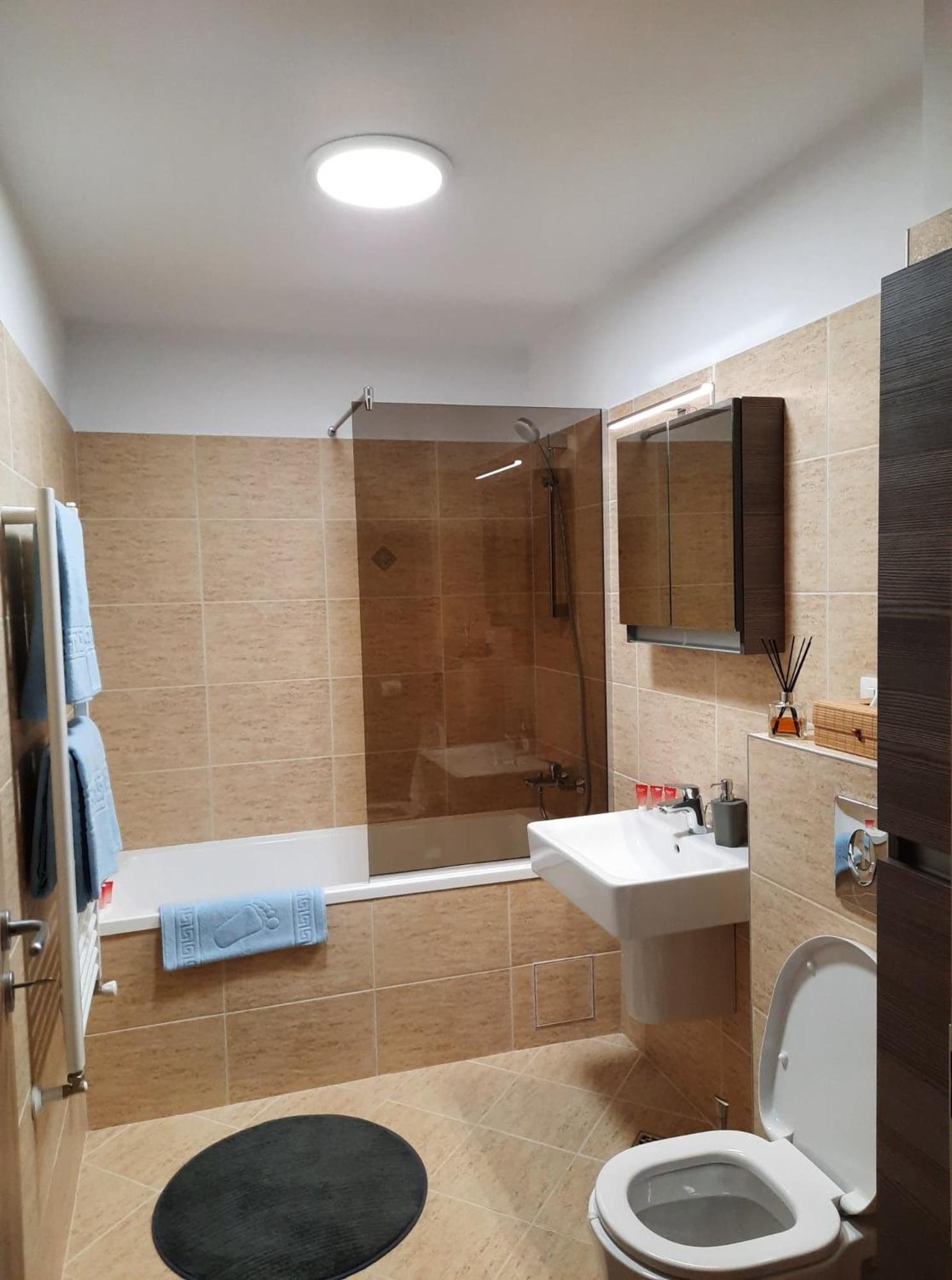 Sorin`s Comfortable Apartment