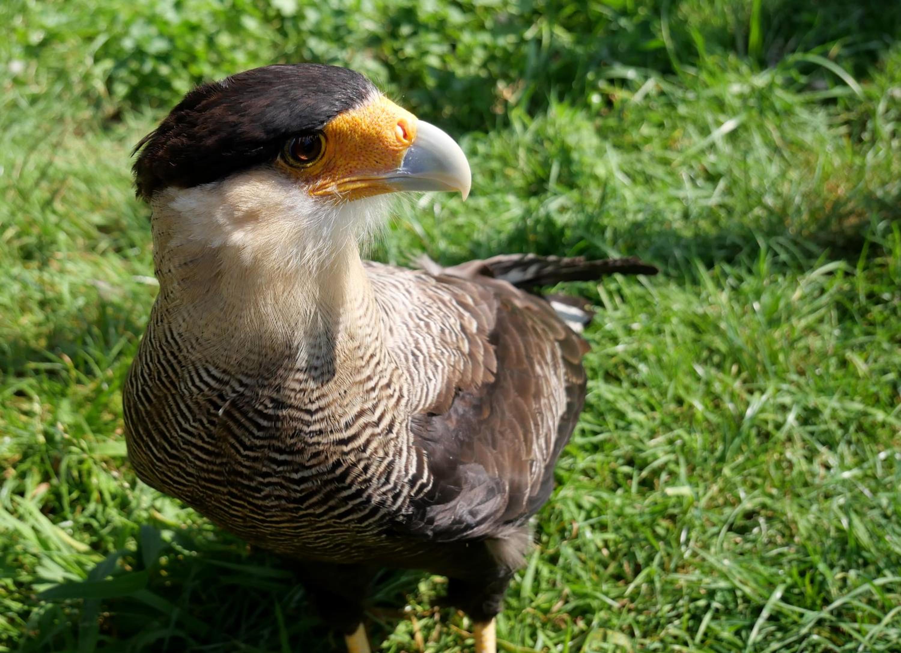 De Dierenweiden view 3