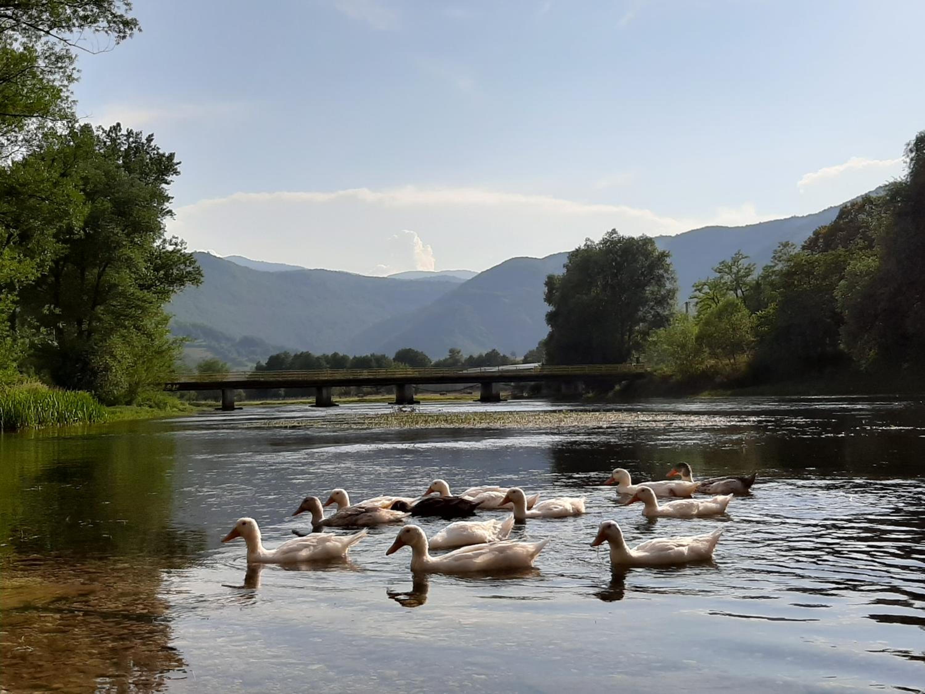 Vacation Home Pliva