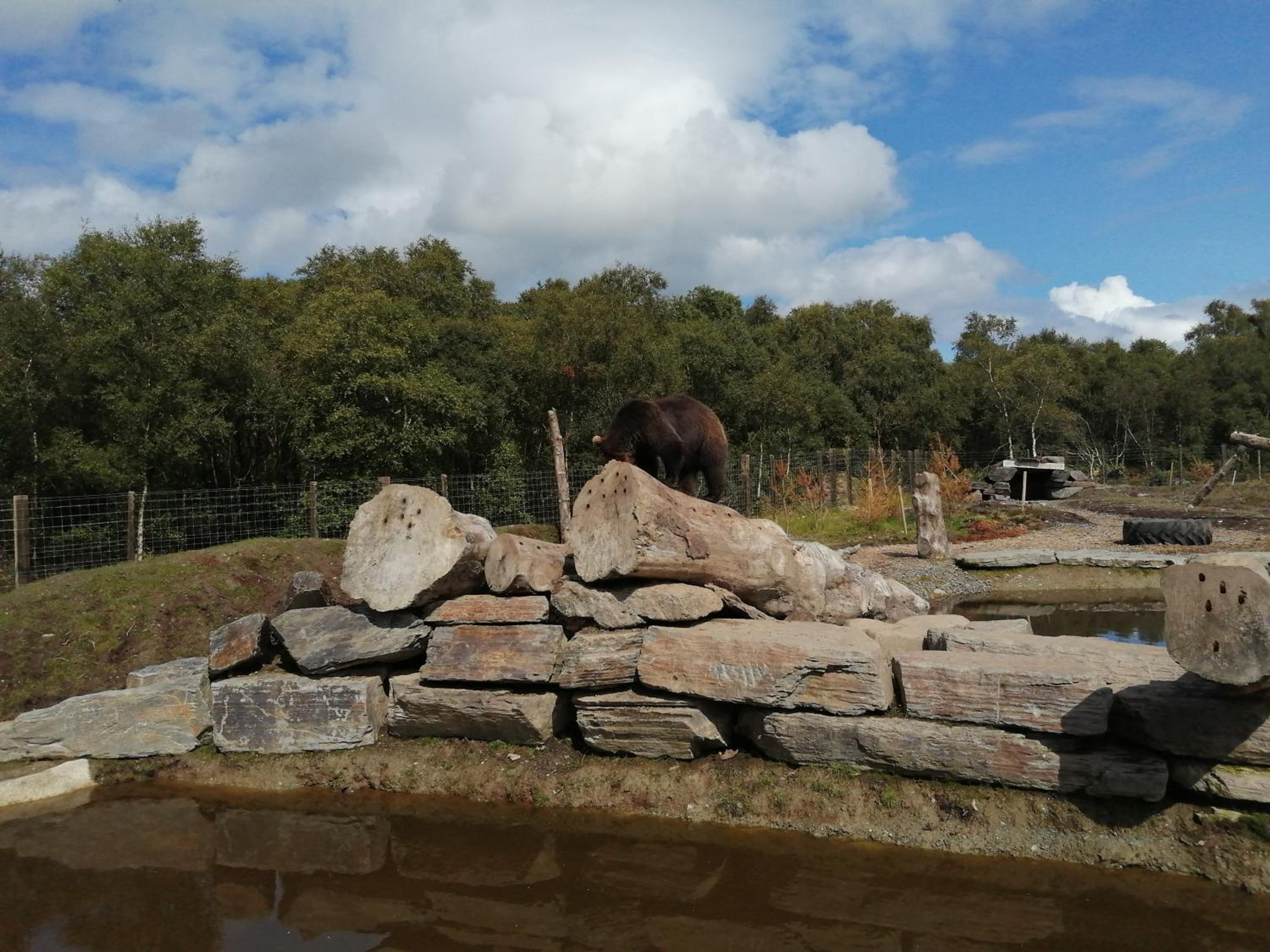 Photo 17