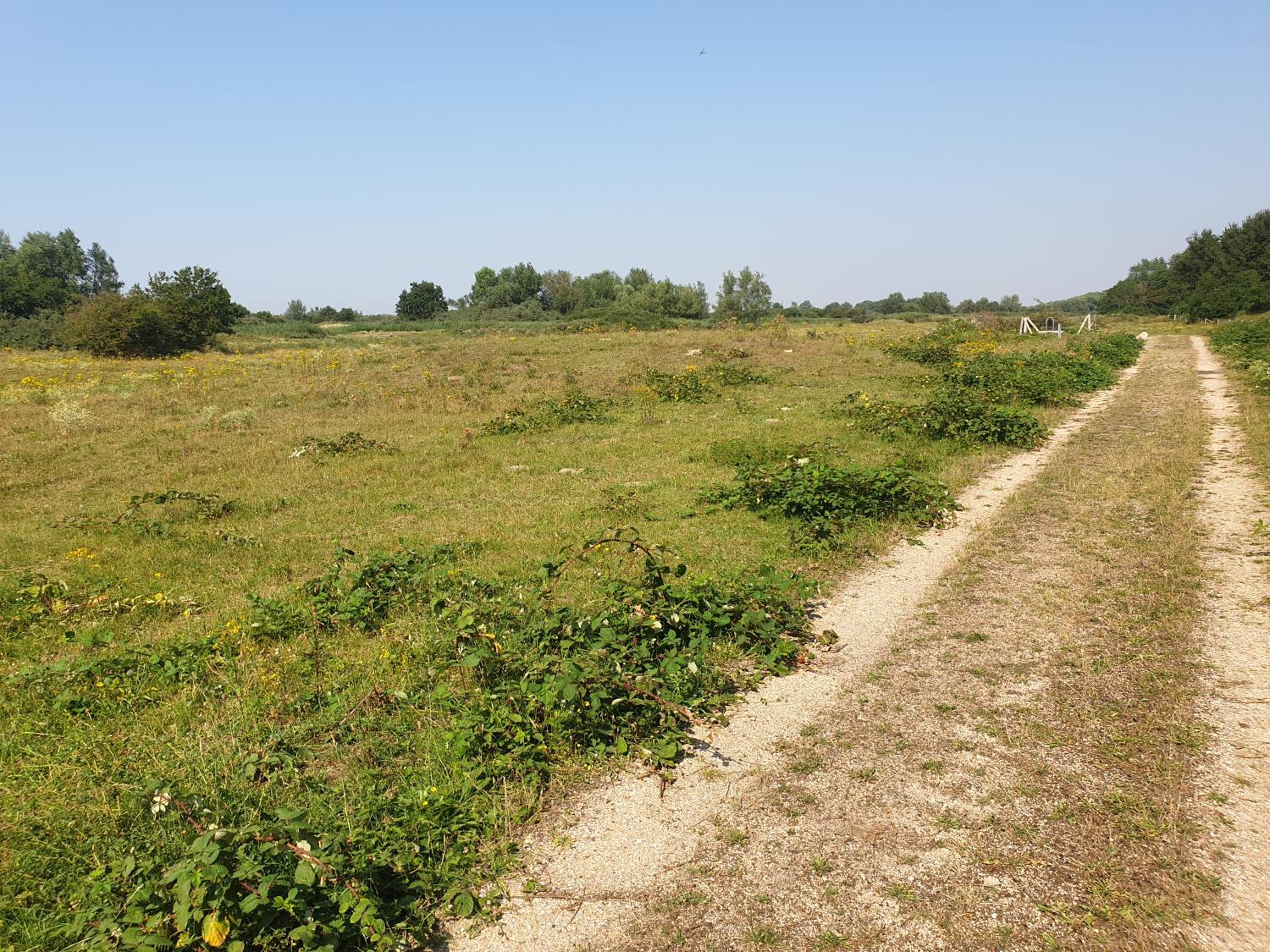 Photo 27