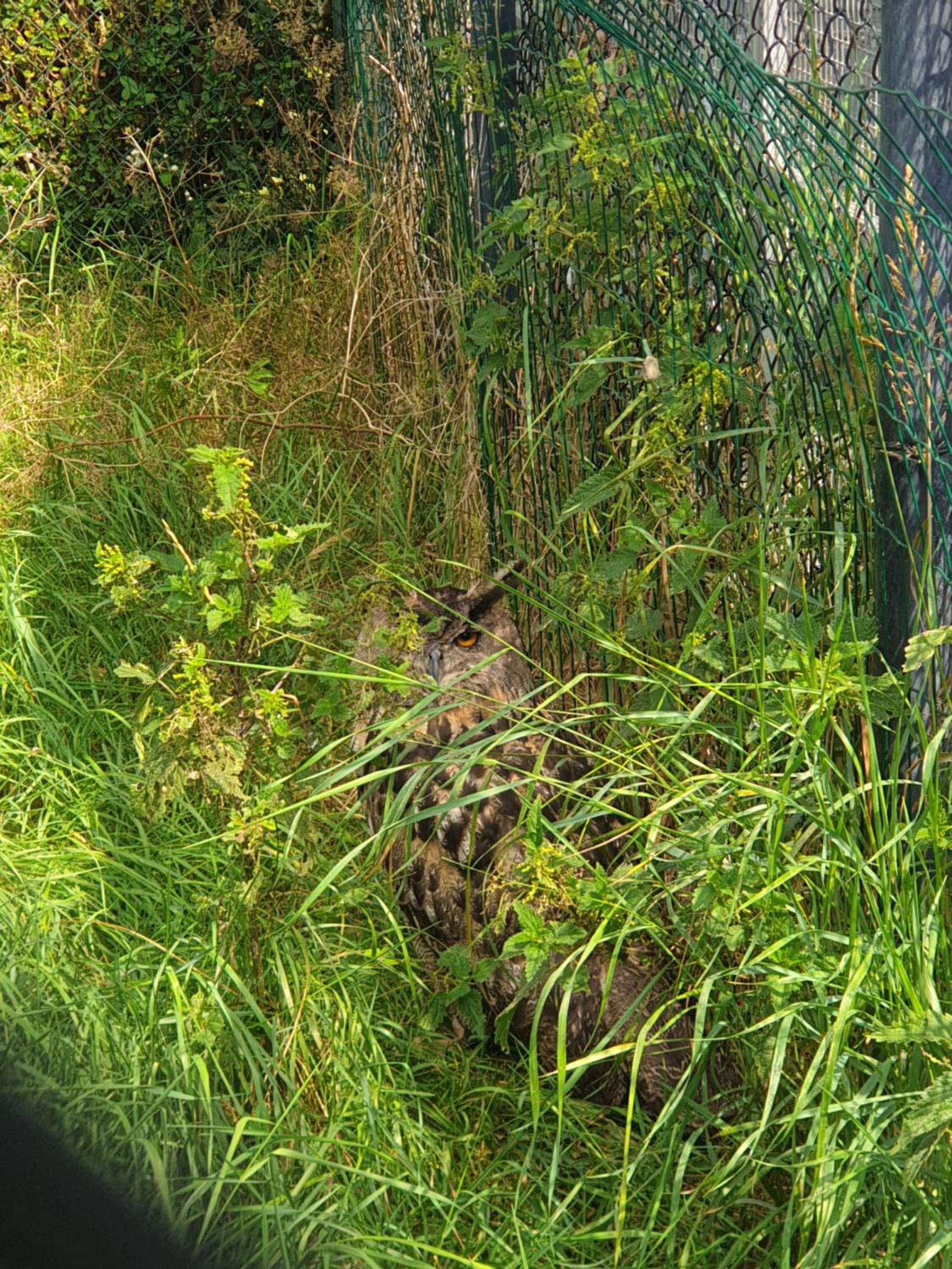De Dierenweiden view 5