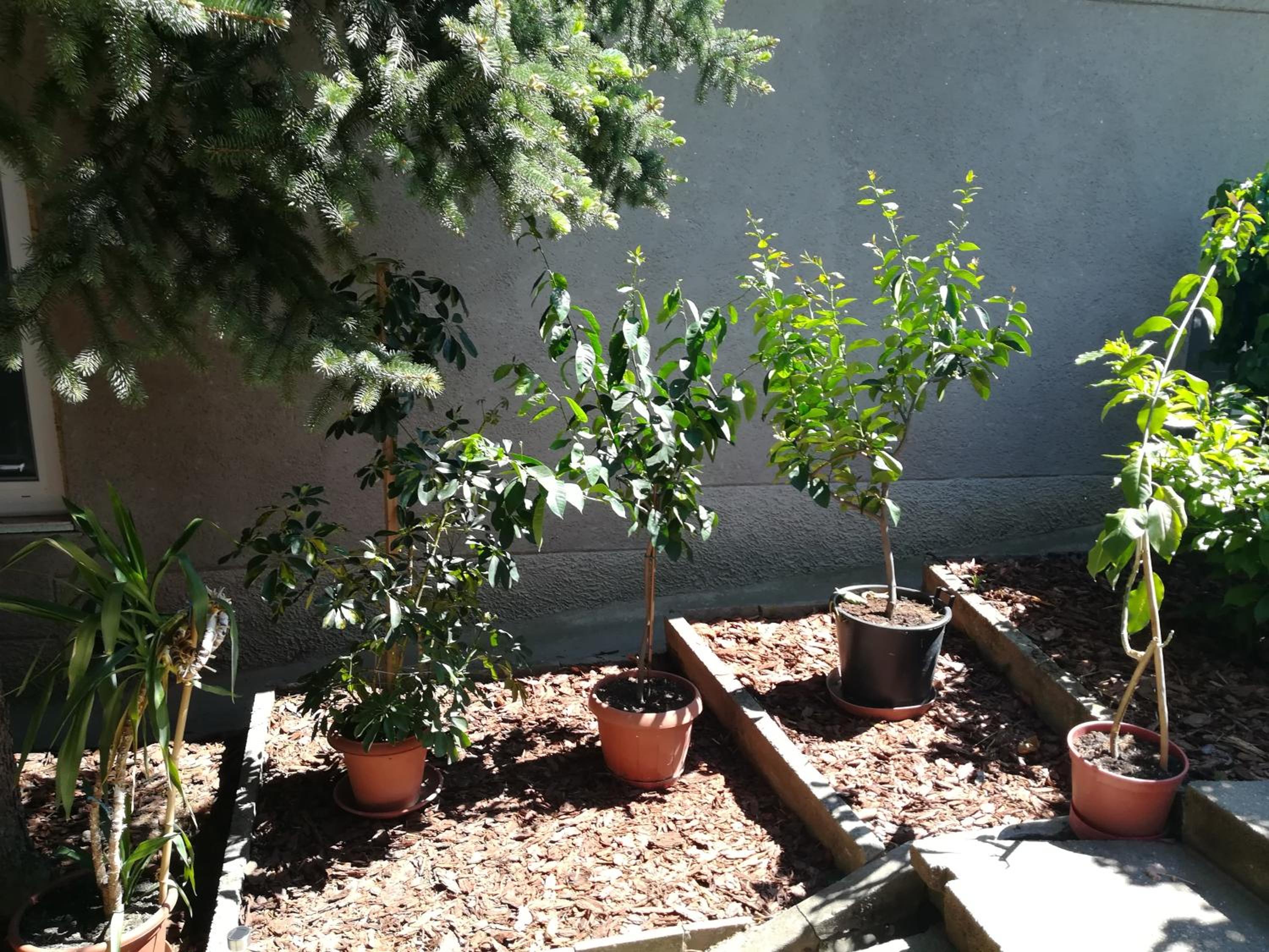 Photo 11