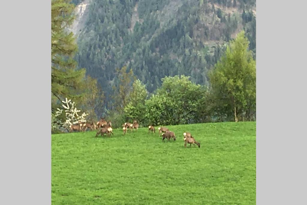 Idyllisches Chalet inmitten der Walliser Bergwelt