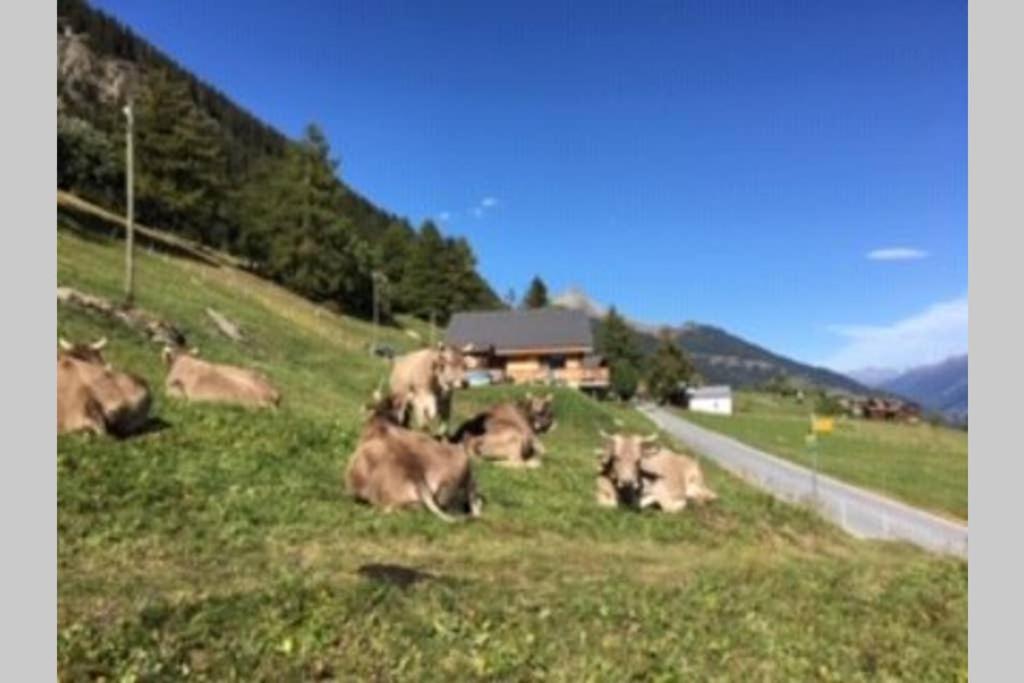 Idyllisches Chalet inmitten der Walliser Bergwelt