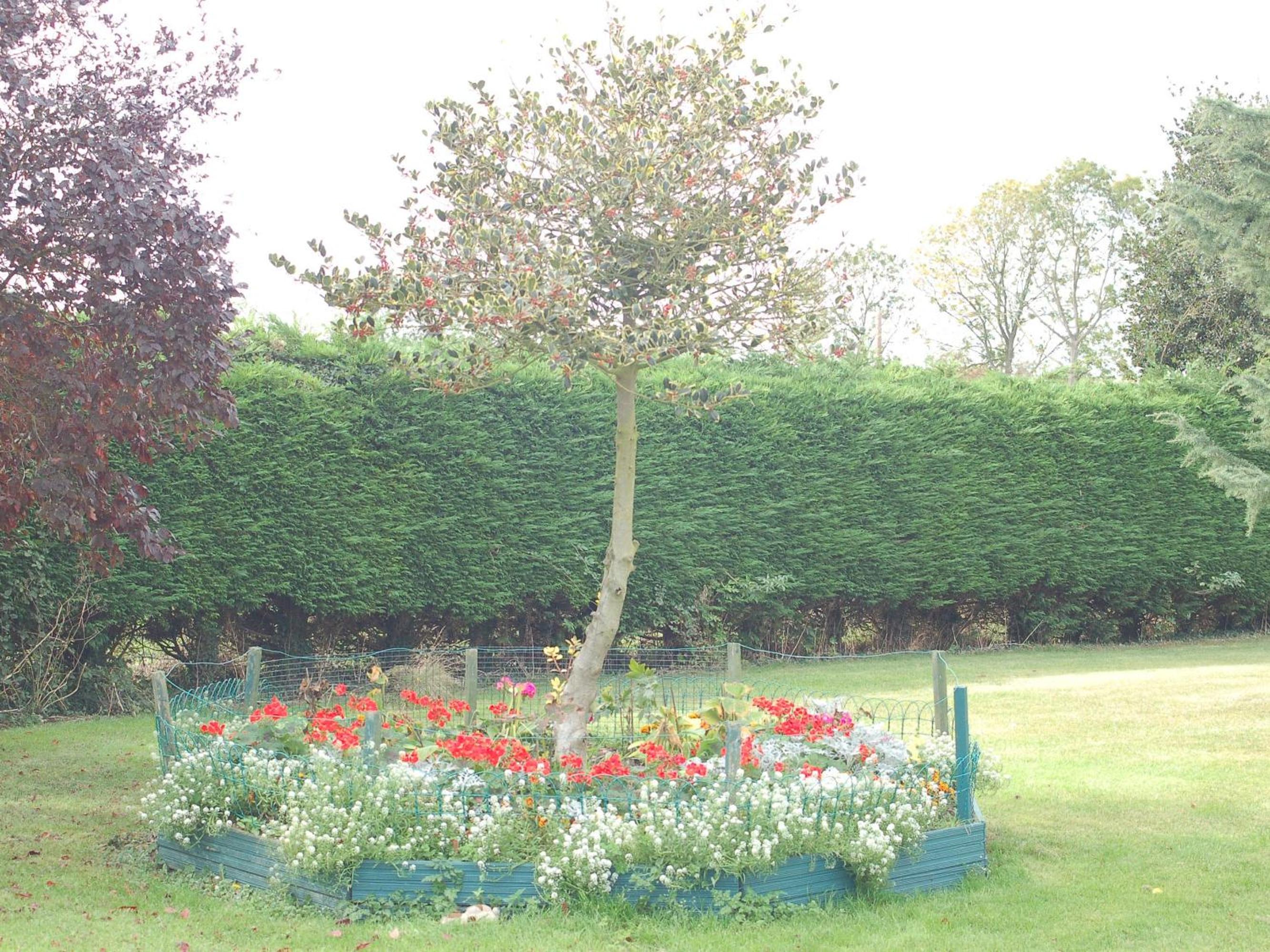 Photo 14
