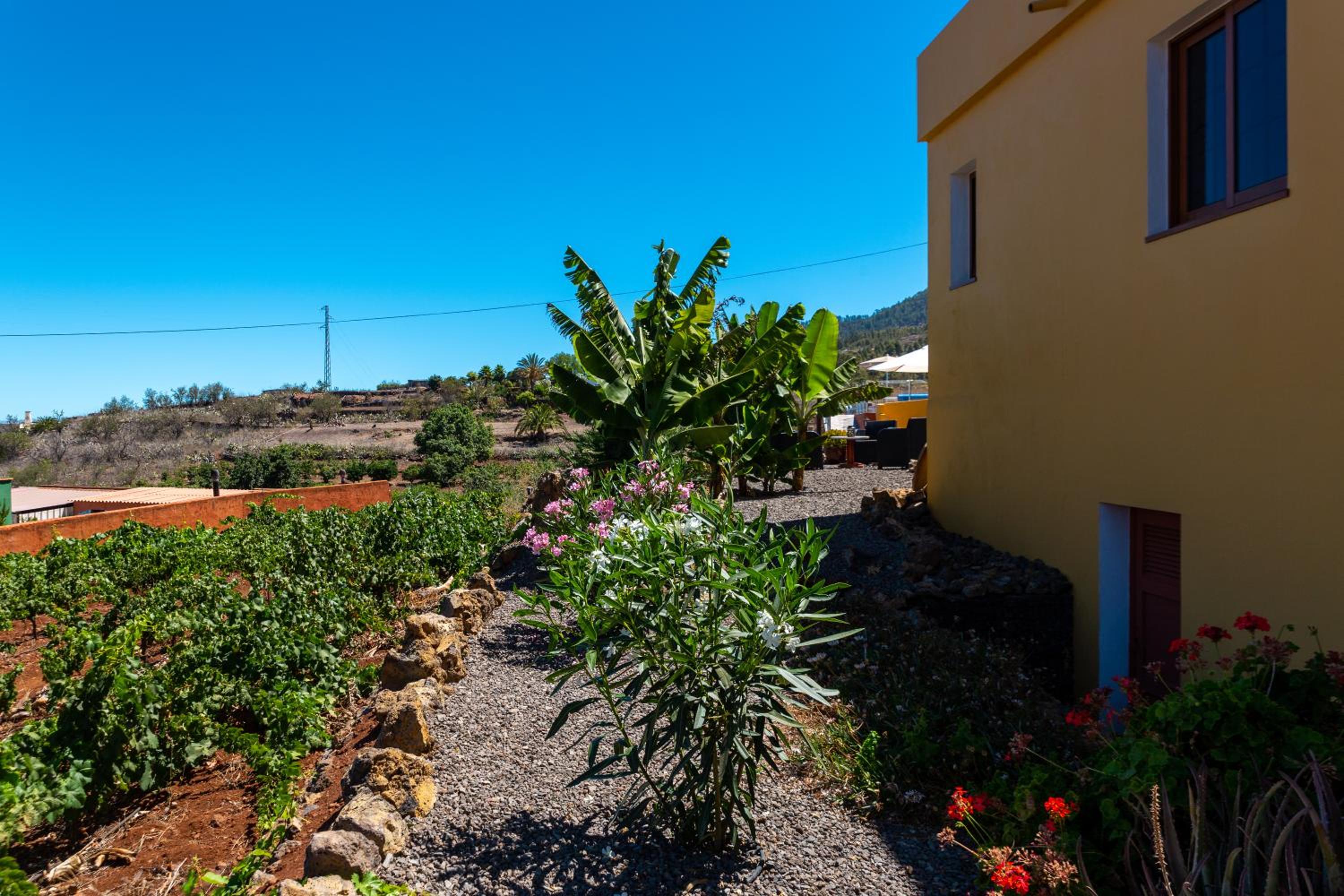 Casa la Viña view 2