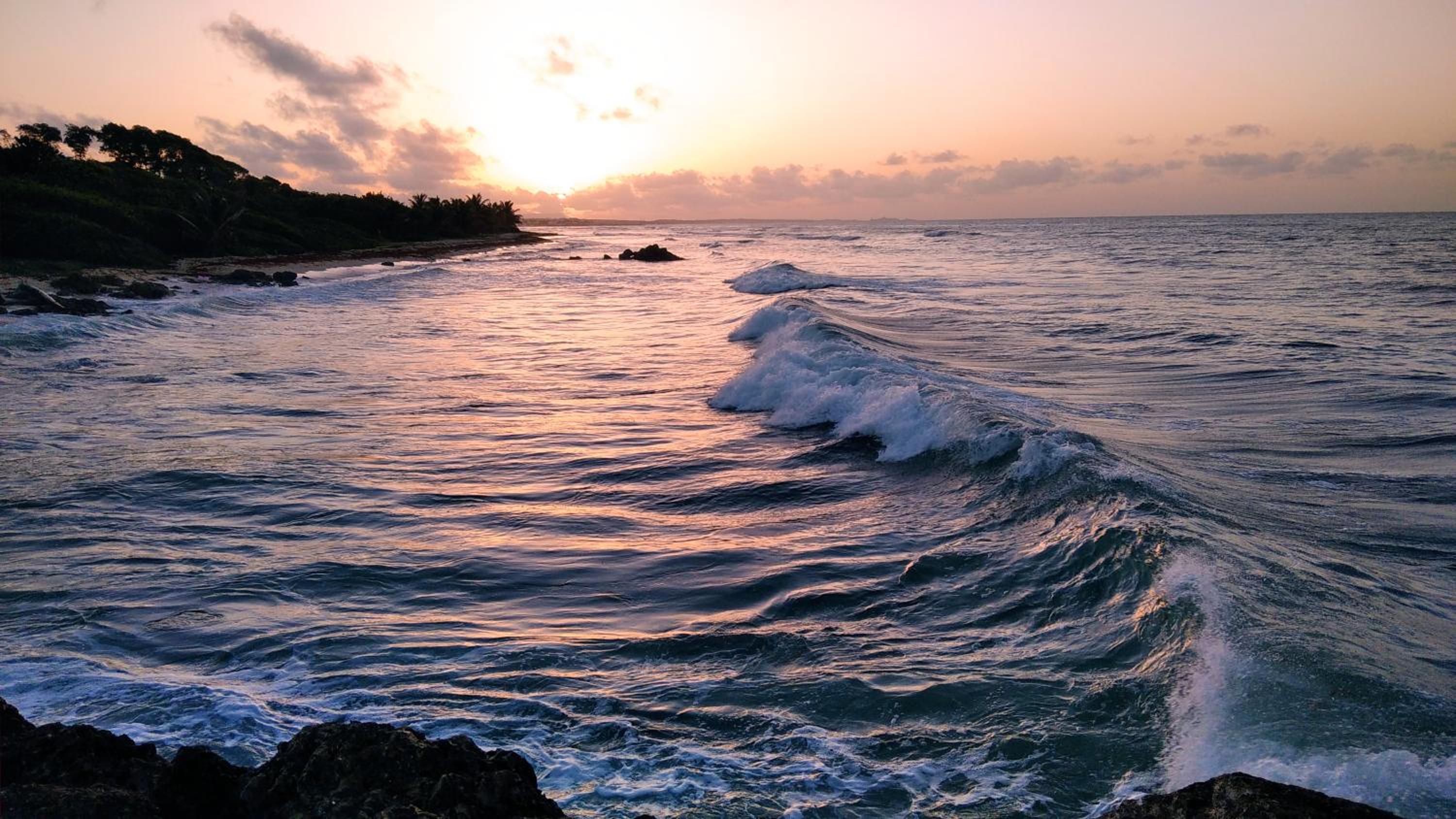 Studio avec GRANDE PISCINE, PLAGE Vanille Caraïbes view 4