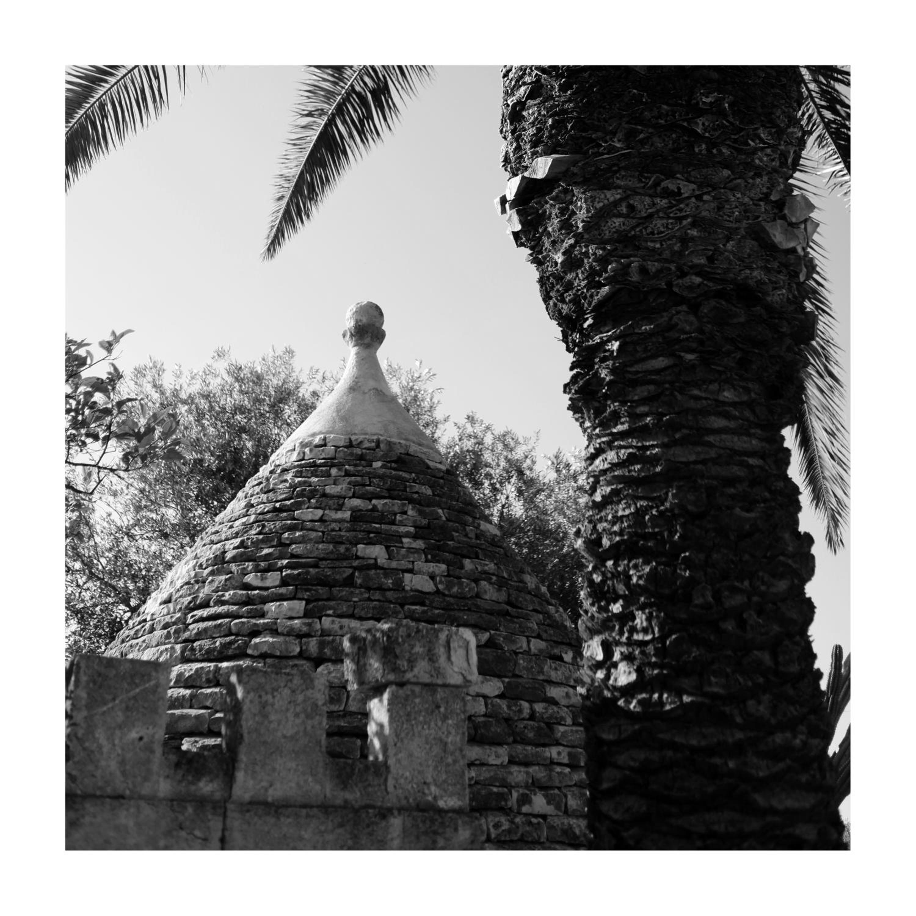 Photo 50