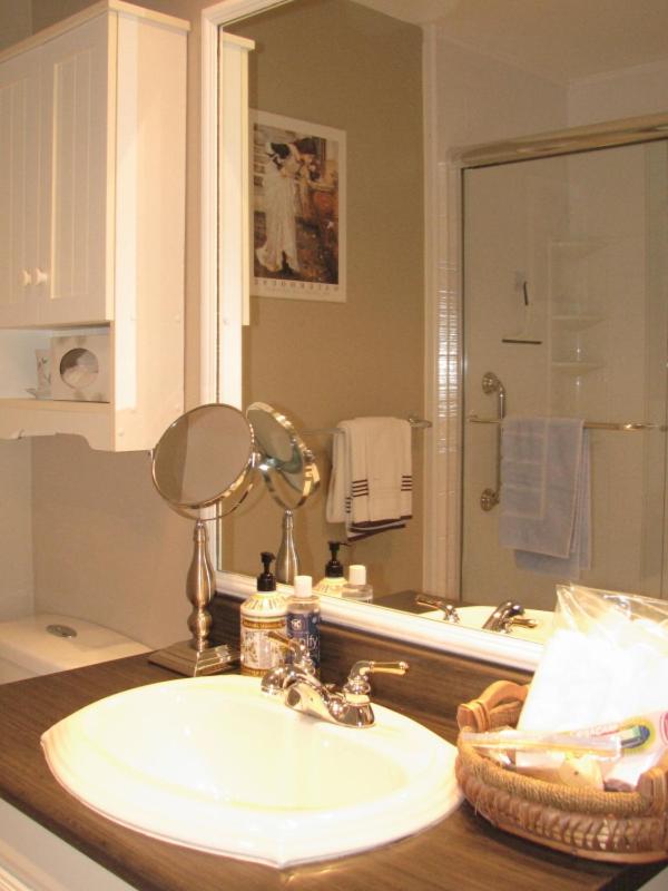 Arkadia Condo Magog view 2