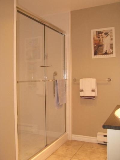 Arkadia Condo Magog view 3