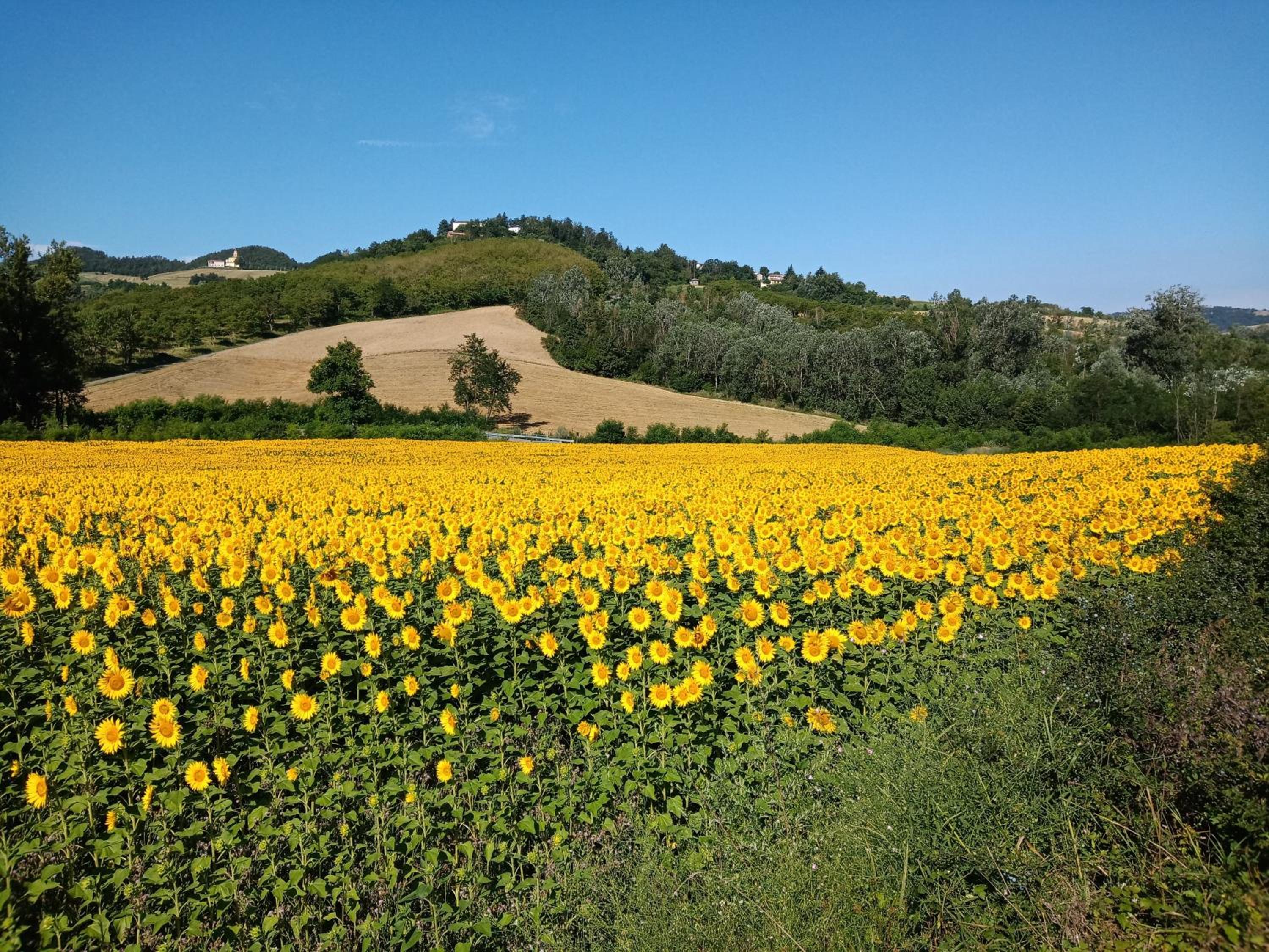 Bed and Breakfast Balli coi Lupi
