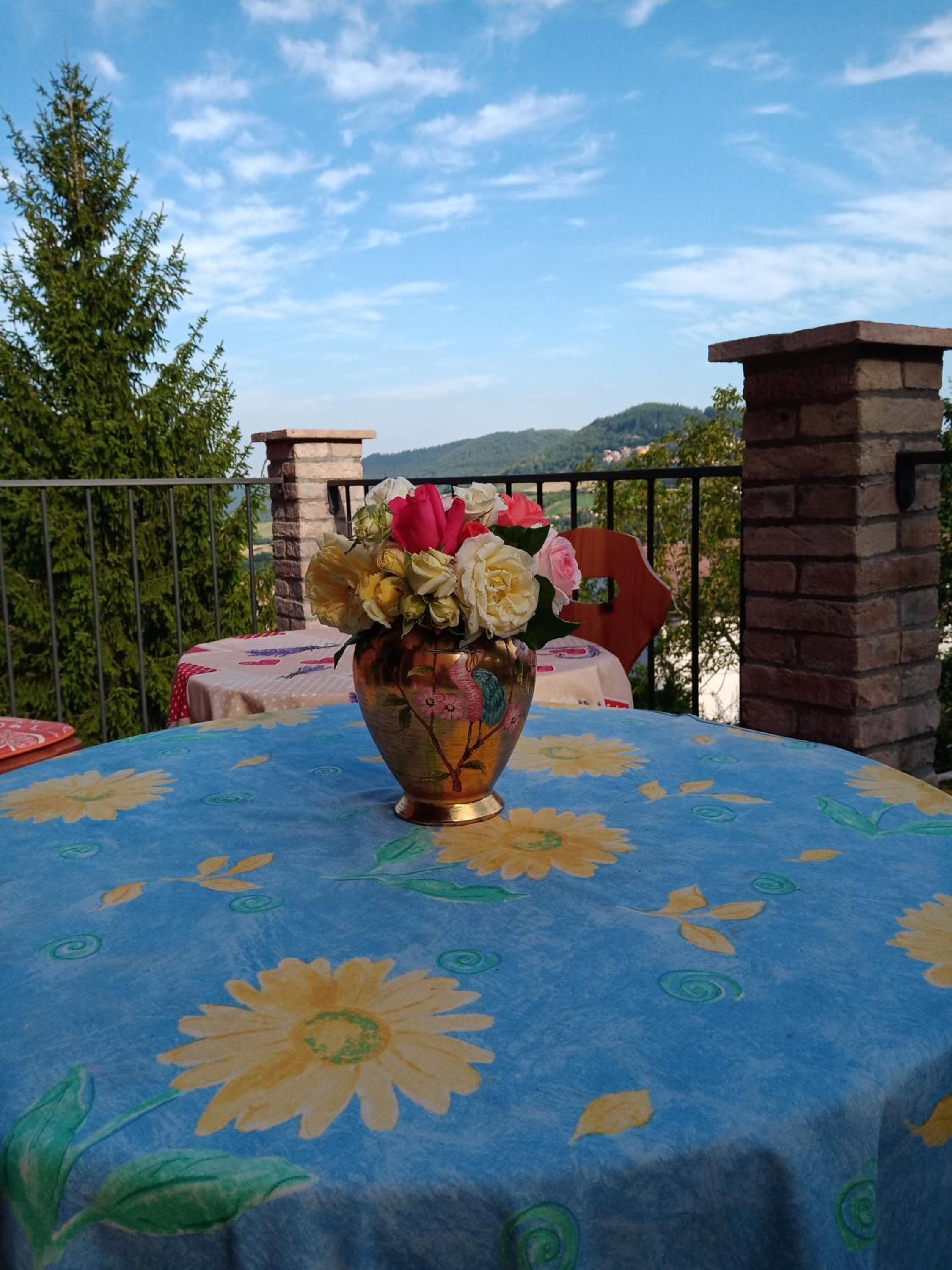 Bed and Breakfast Balli coi Lupi