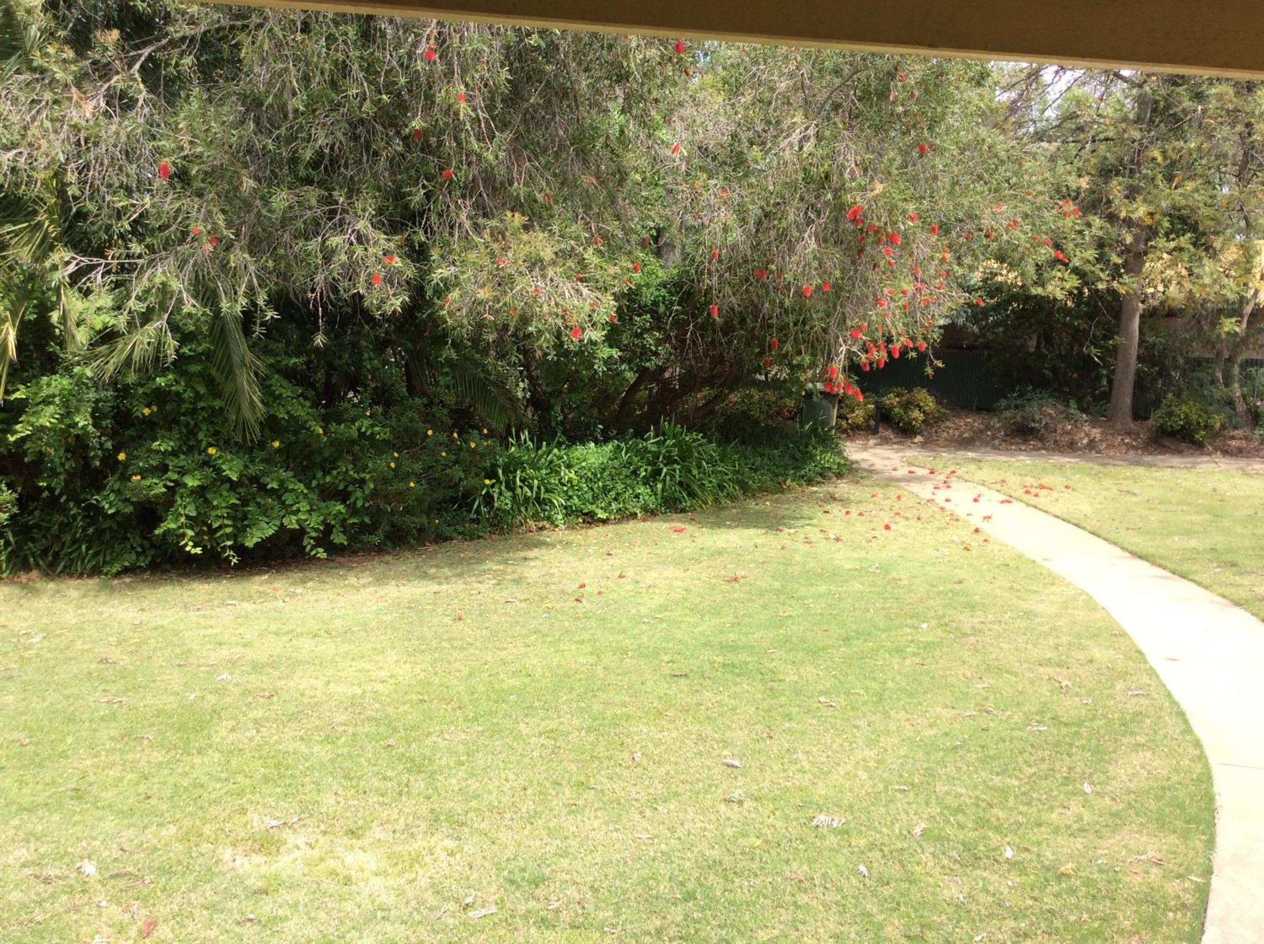 Winbi River Resort Holiday Rentals