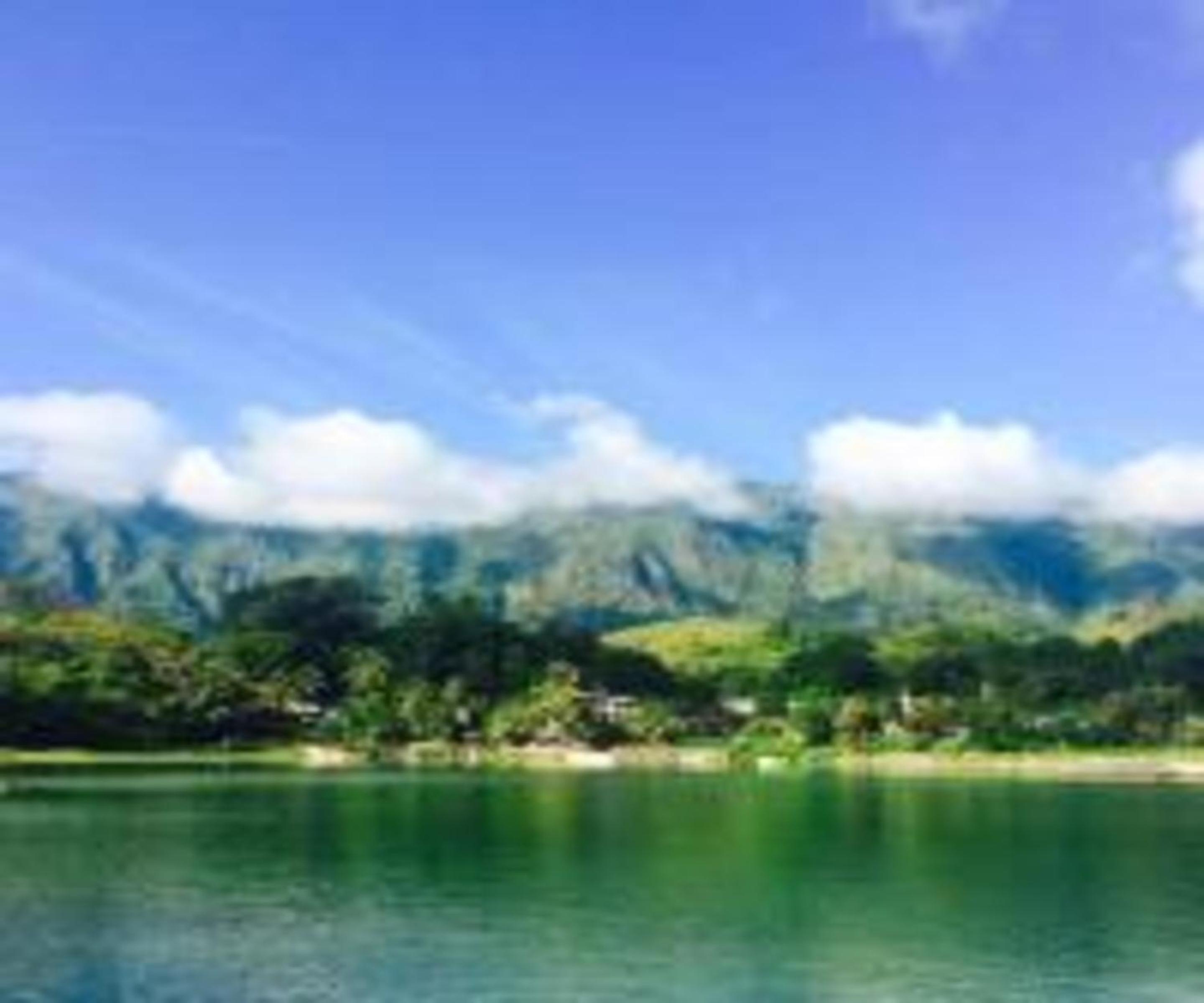 Laster Jony's view 2