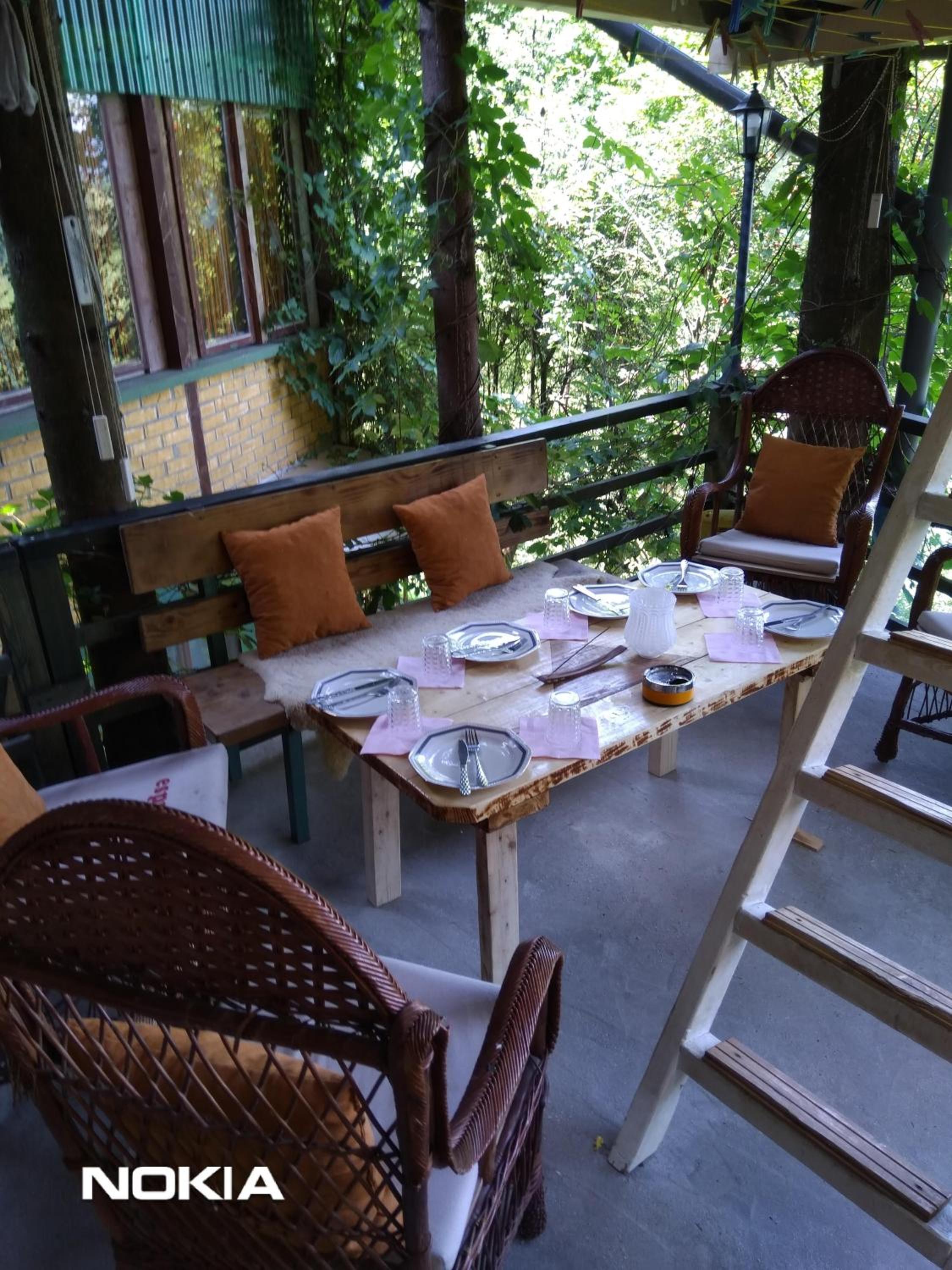 tree house view 5