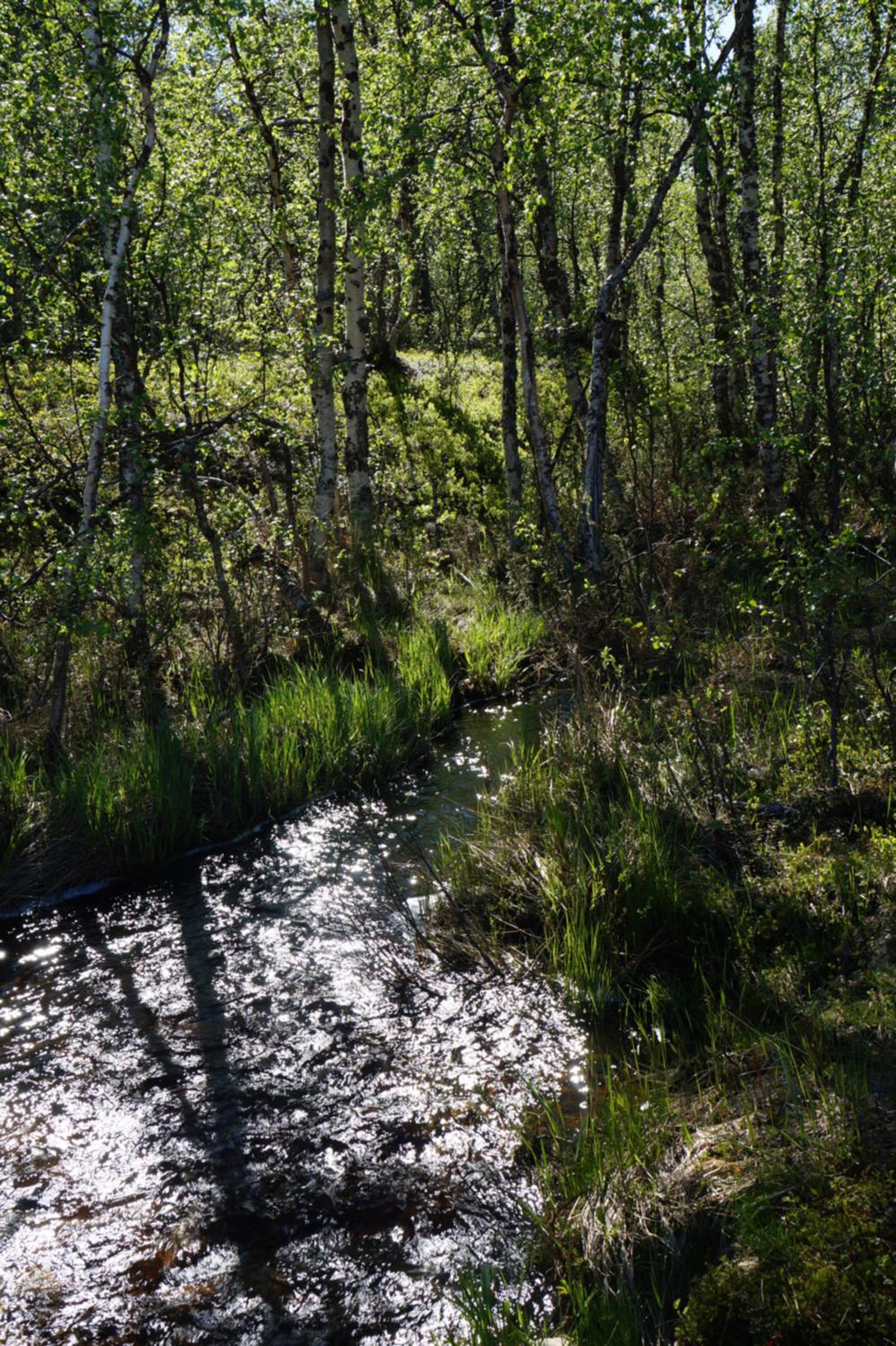 Photo 27