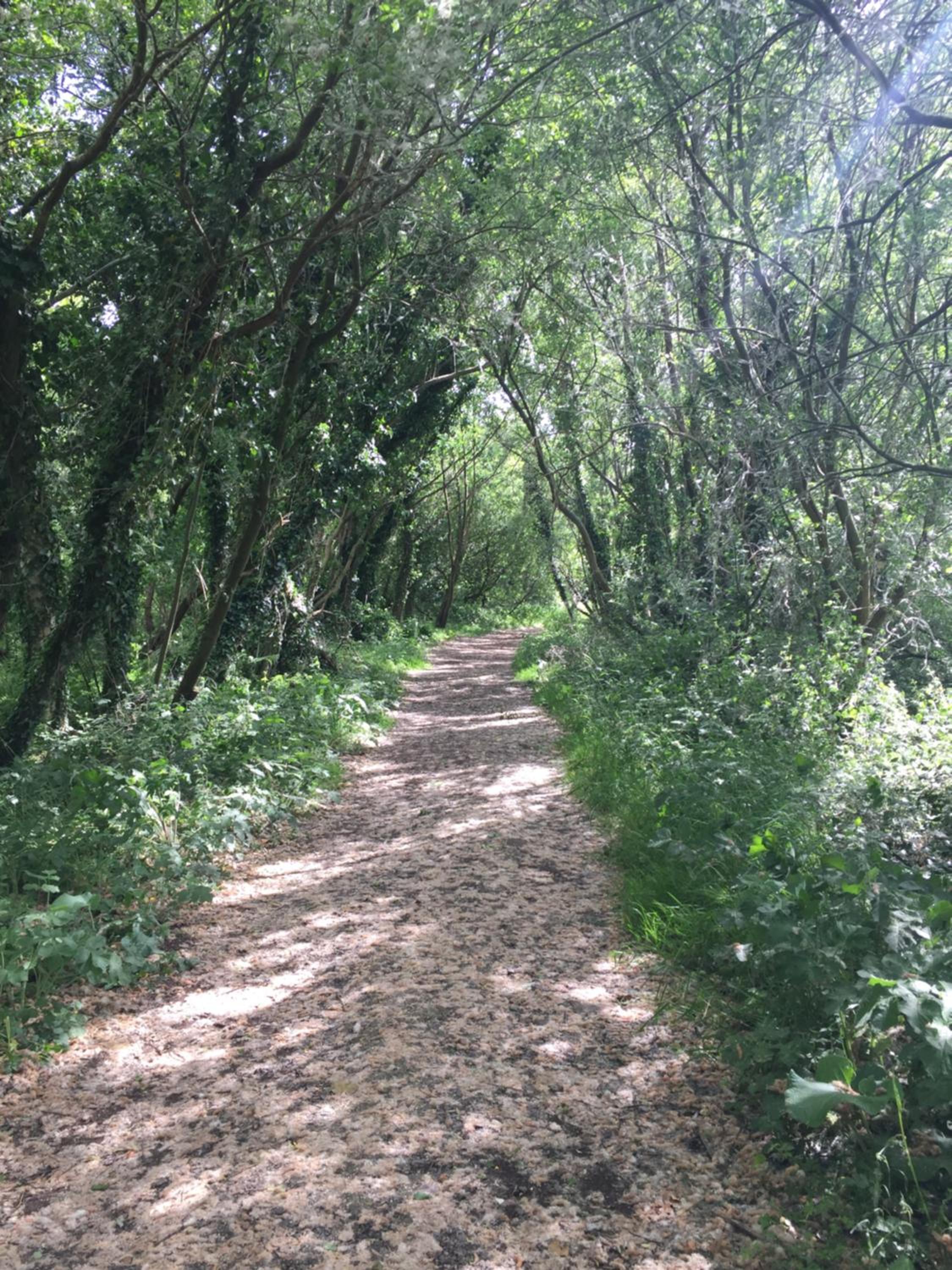 Photo 23