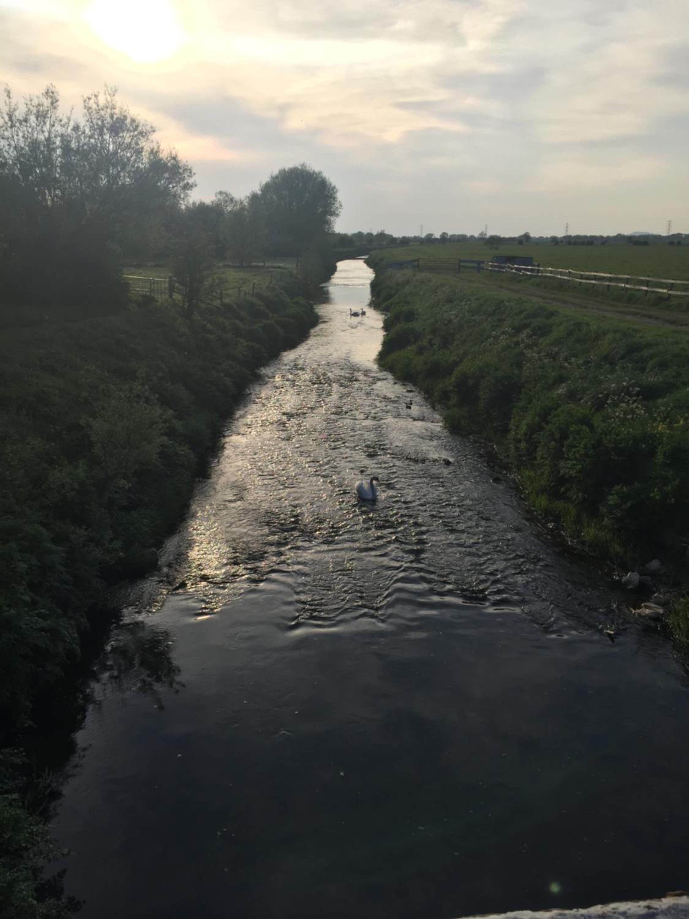 Photo 25